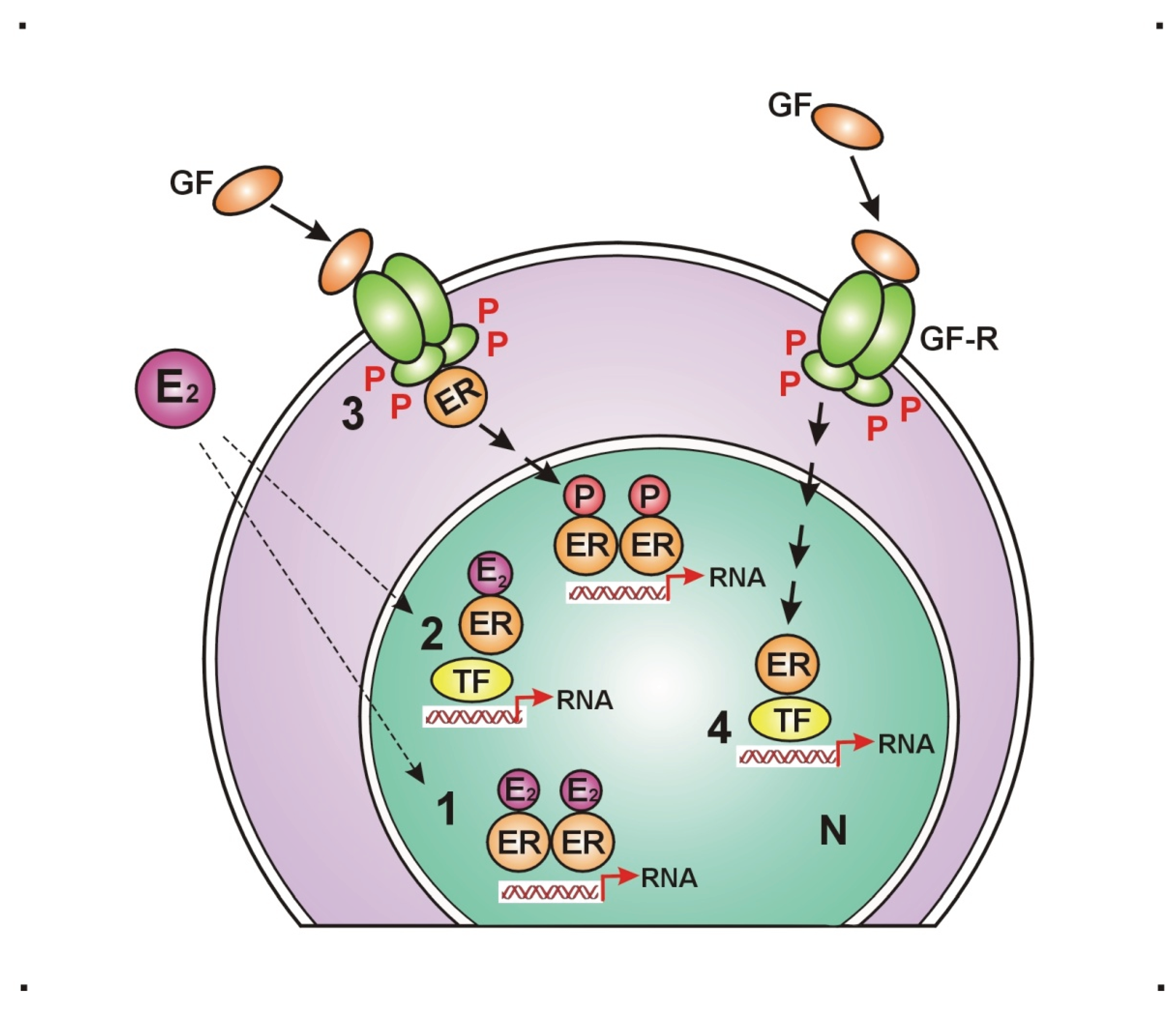 Preprints 182498 g001