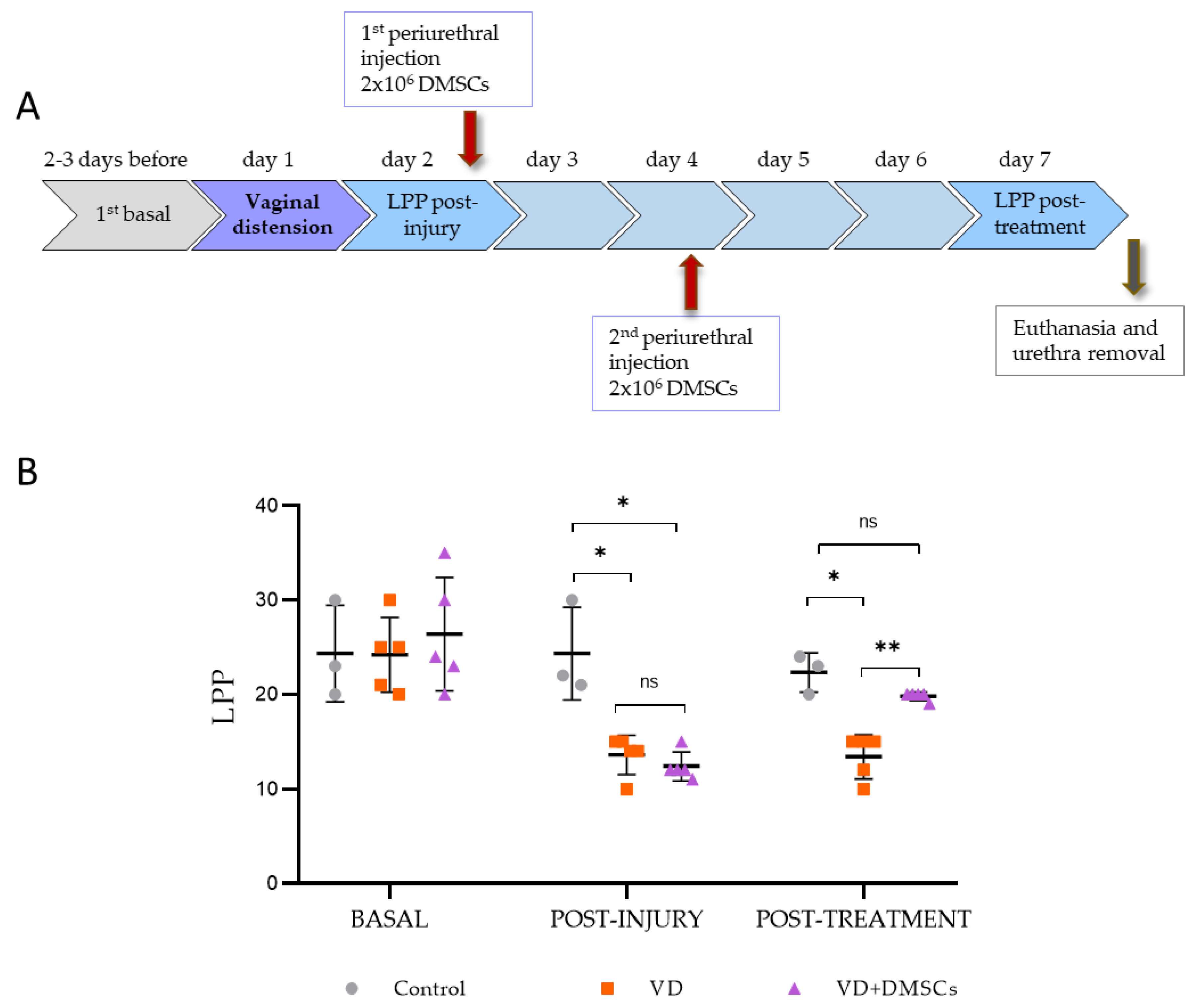 Preprints 221504 g001 Preprints 221504 g001