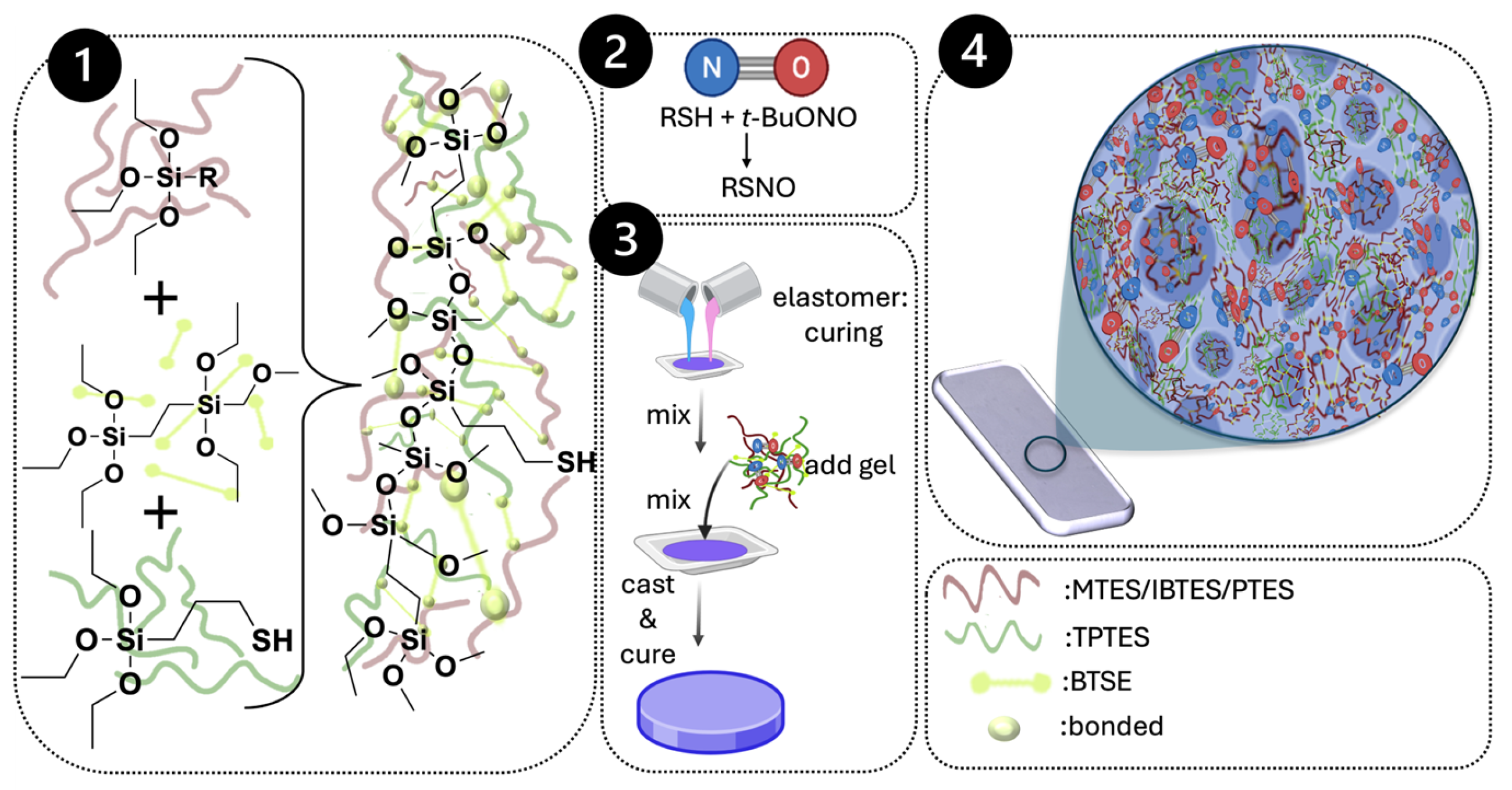 Preprints 201131 g001