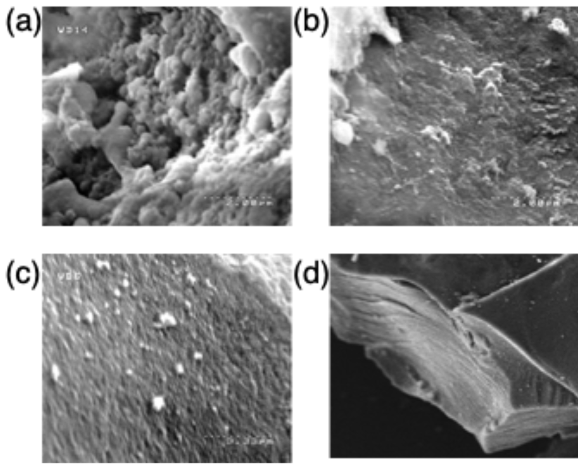 Preprints 201131 g006