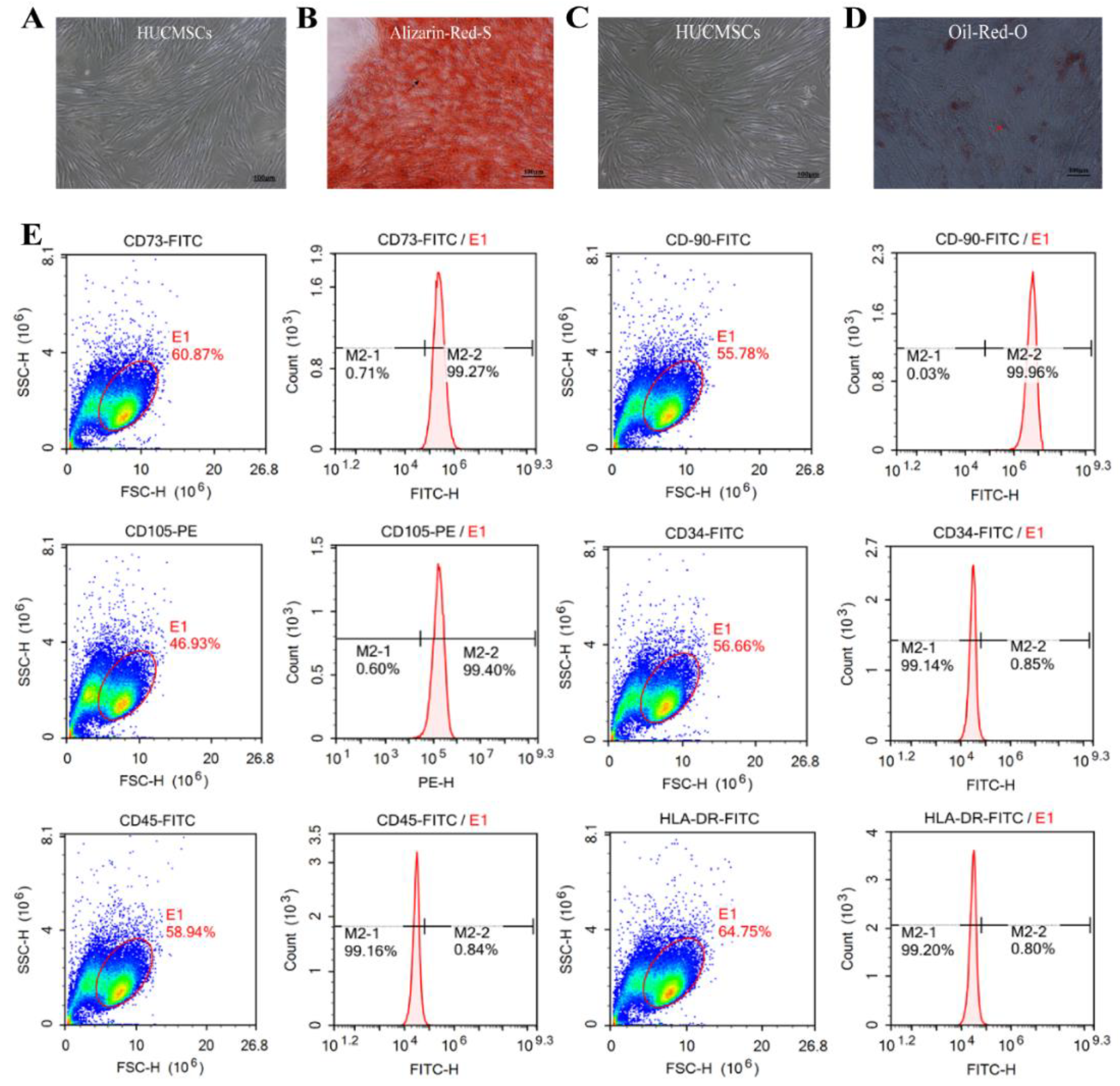 Preprints 174697 g001