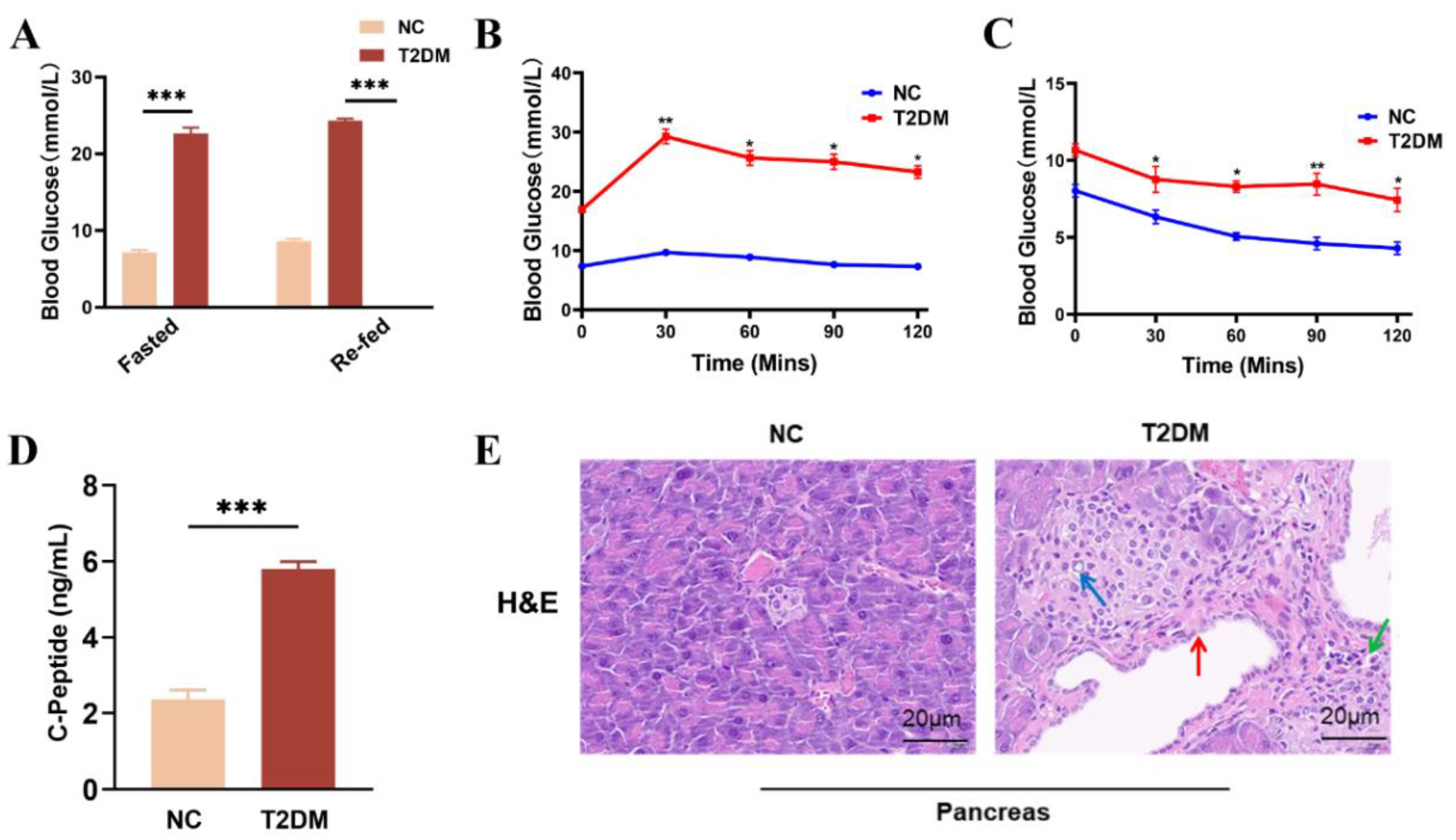 Preprints 174697 g002