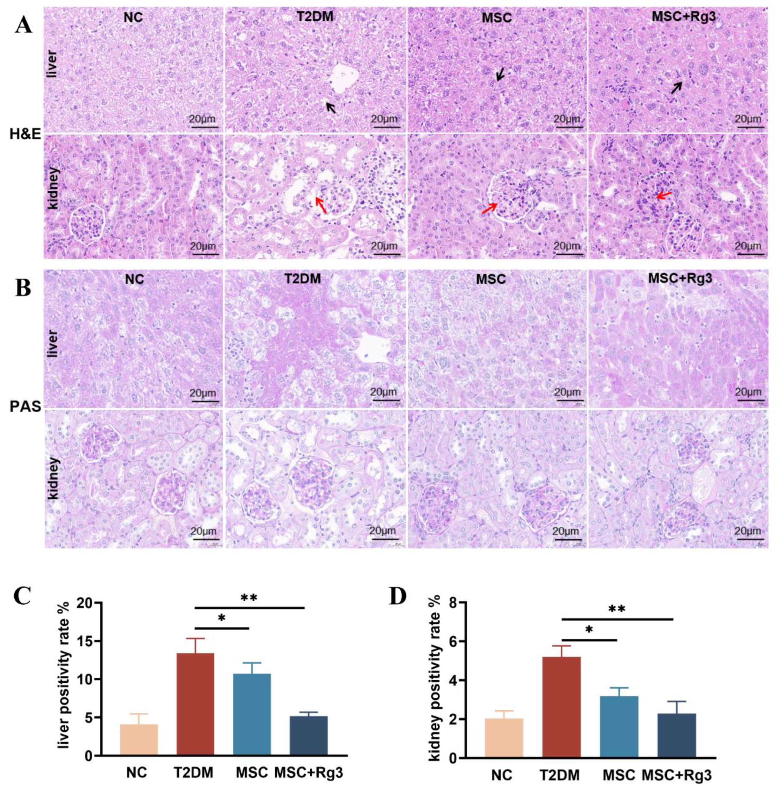 Preprints 174697 g004