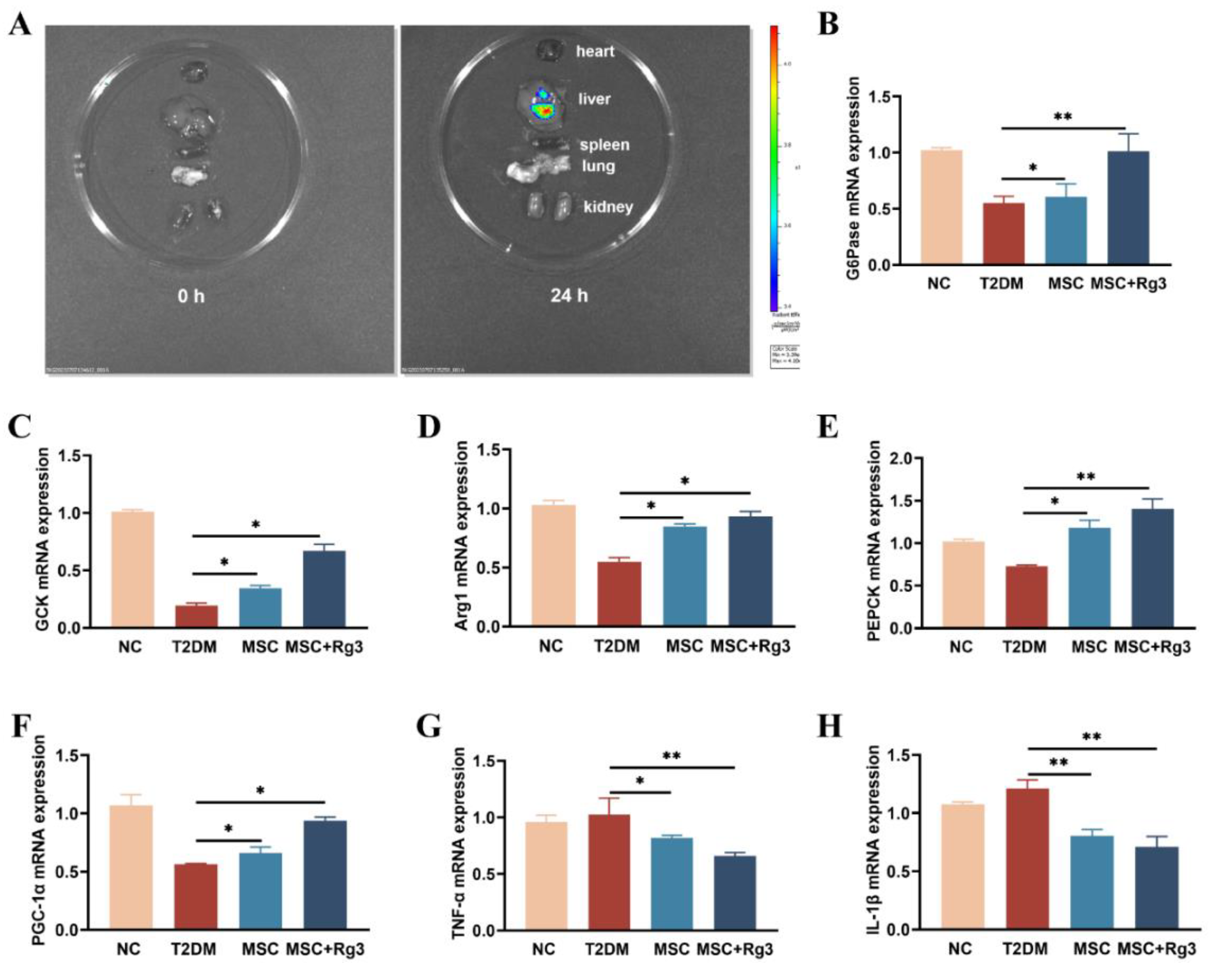 Preprints 174697 g005