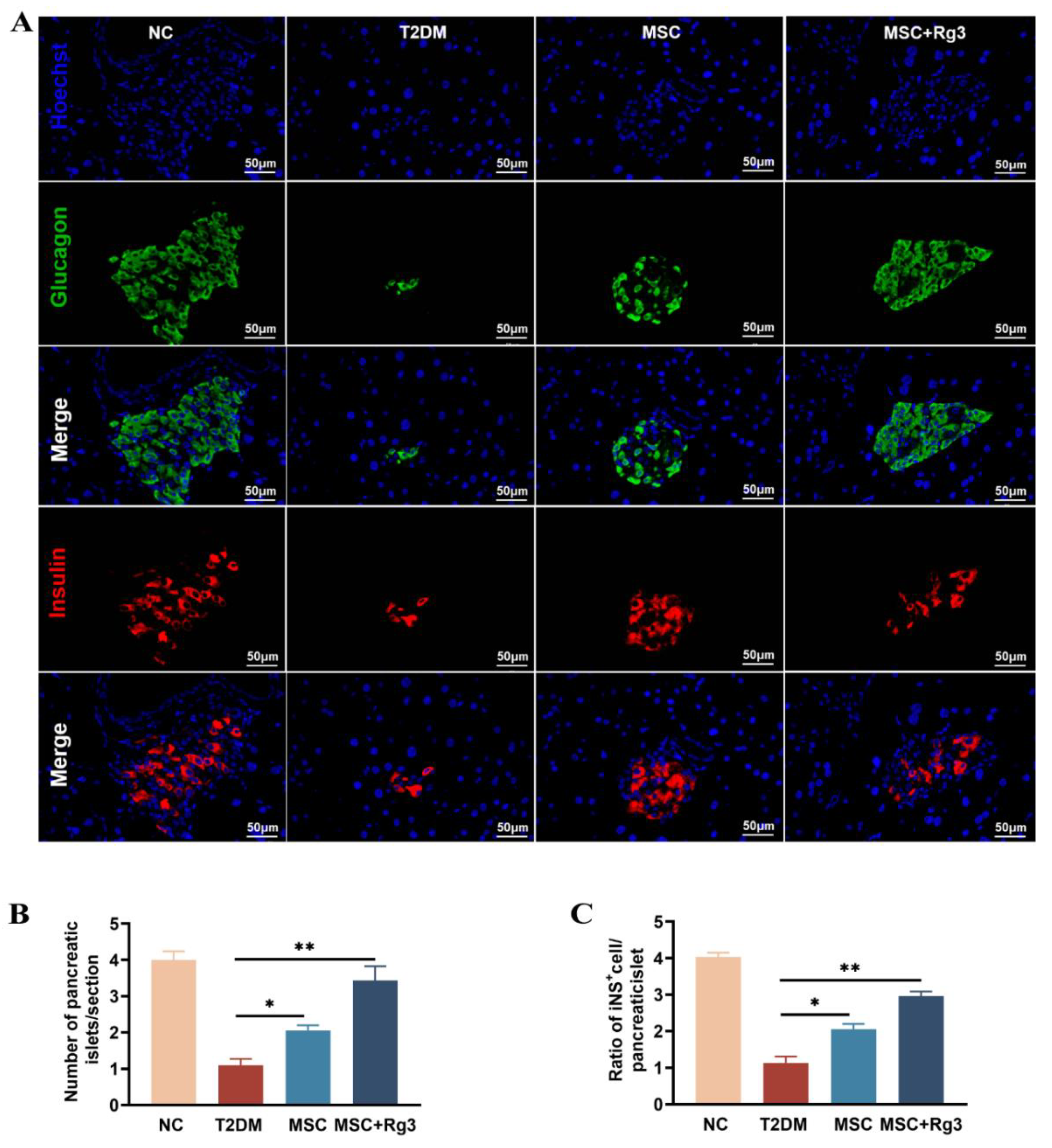 Preprints 174697 g006