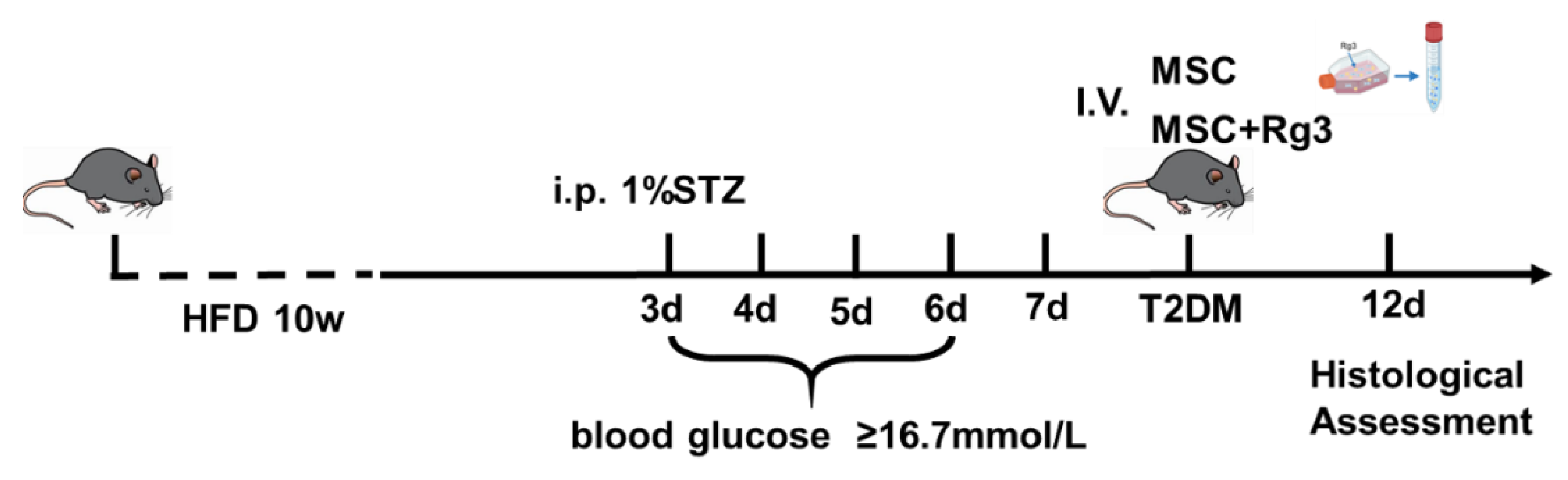 Preprints 174697 g009