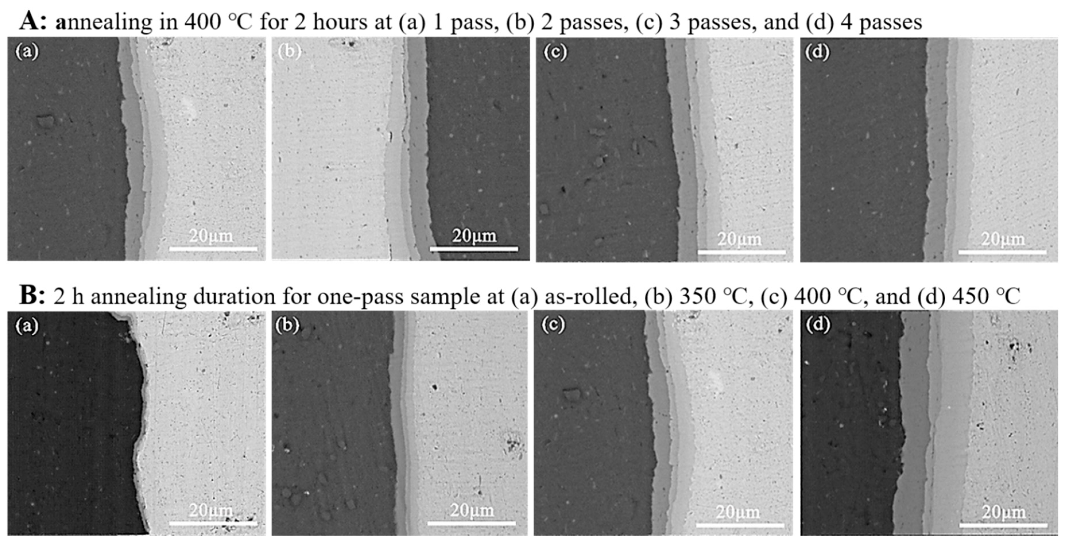 Preprints 192490 g002