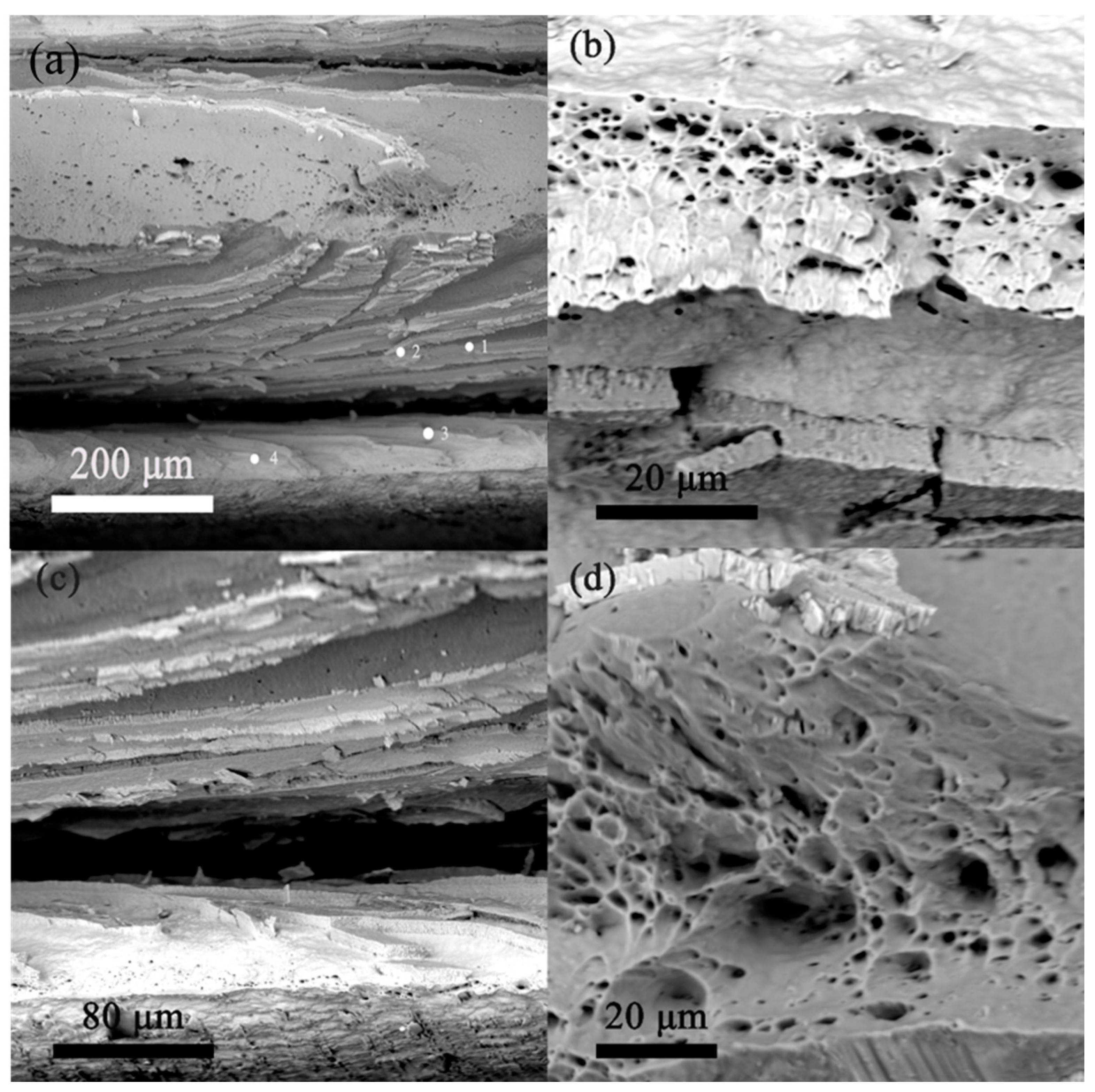 Preprints 192490 g010