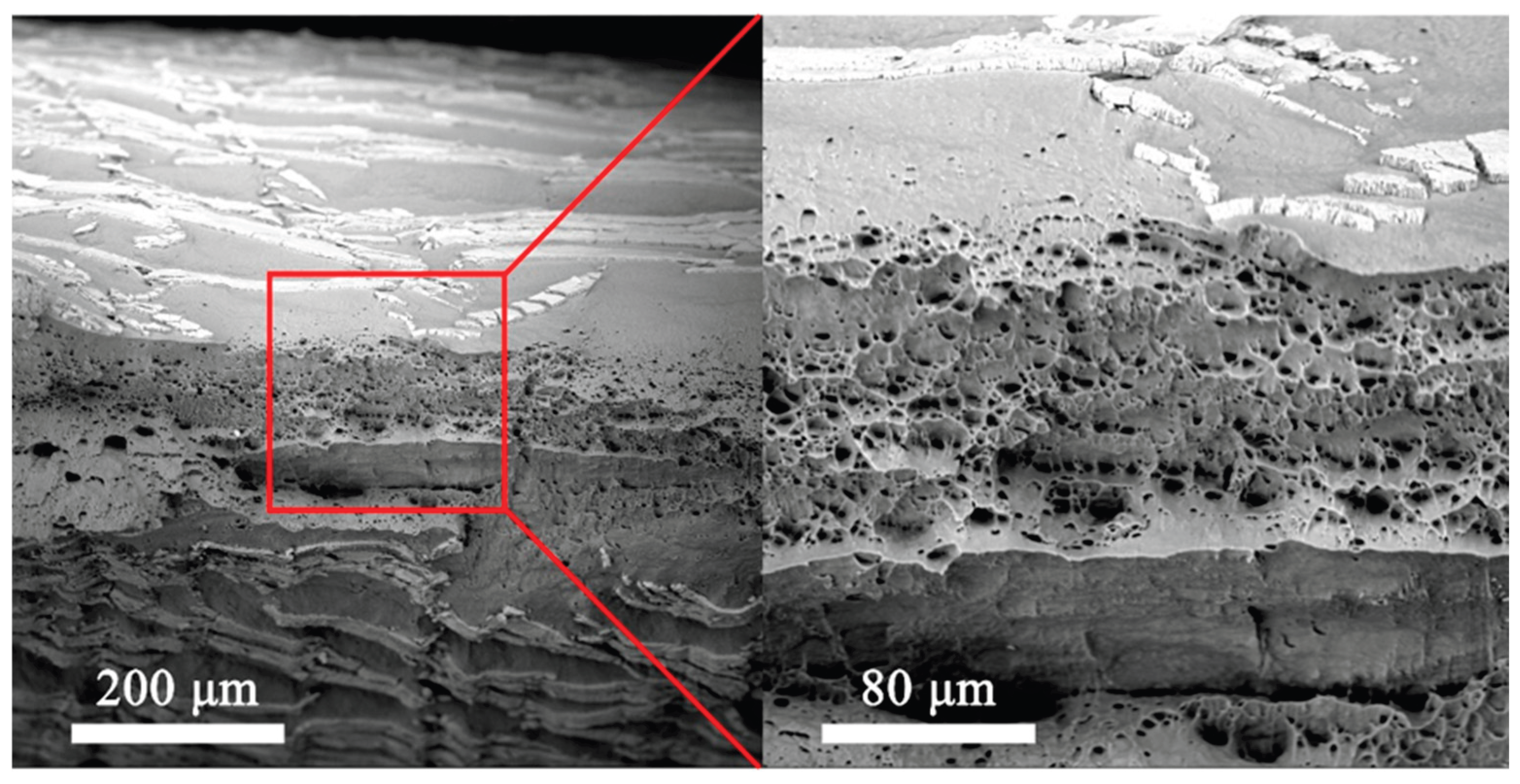 Preprints 192490 g011