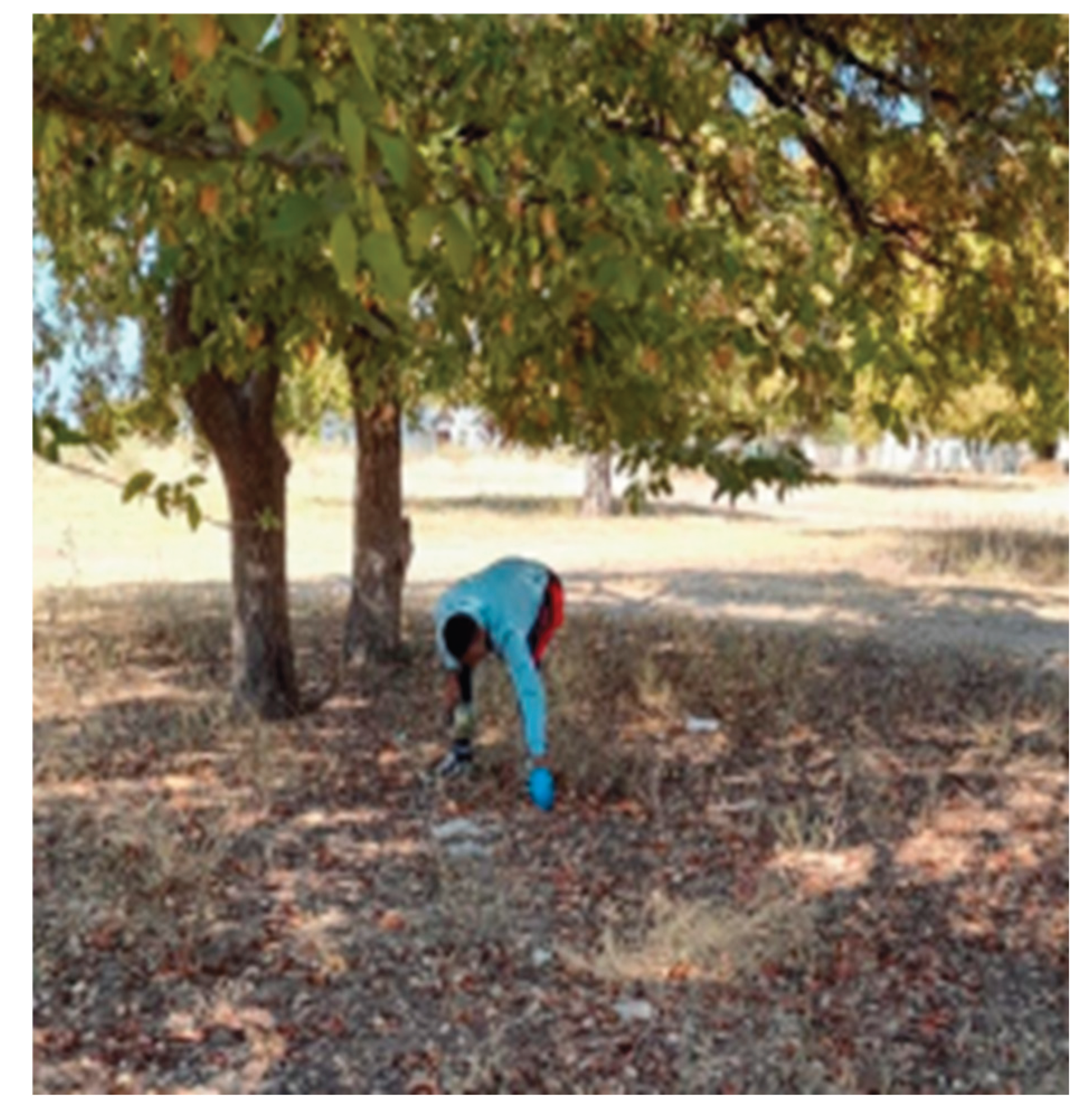 Preprints 181704 g002a