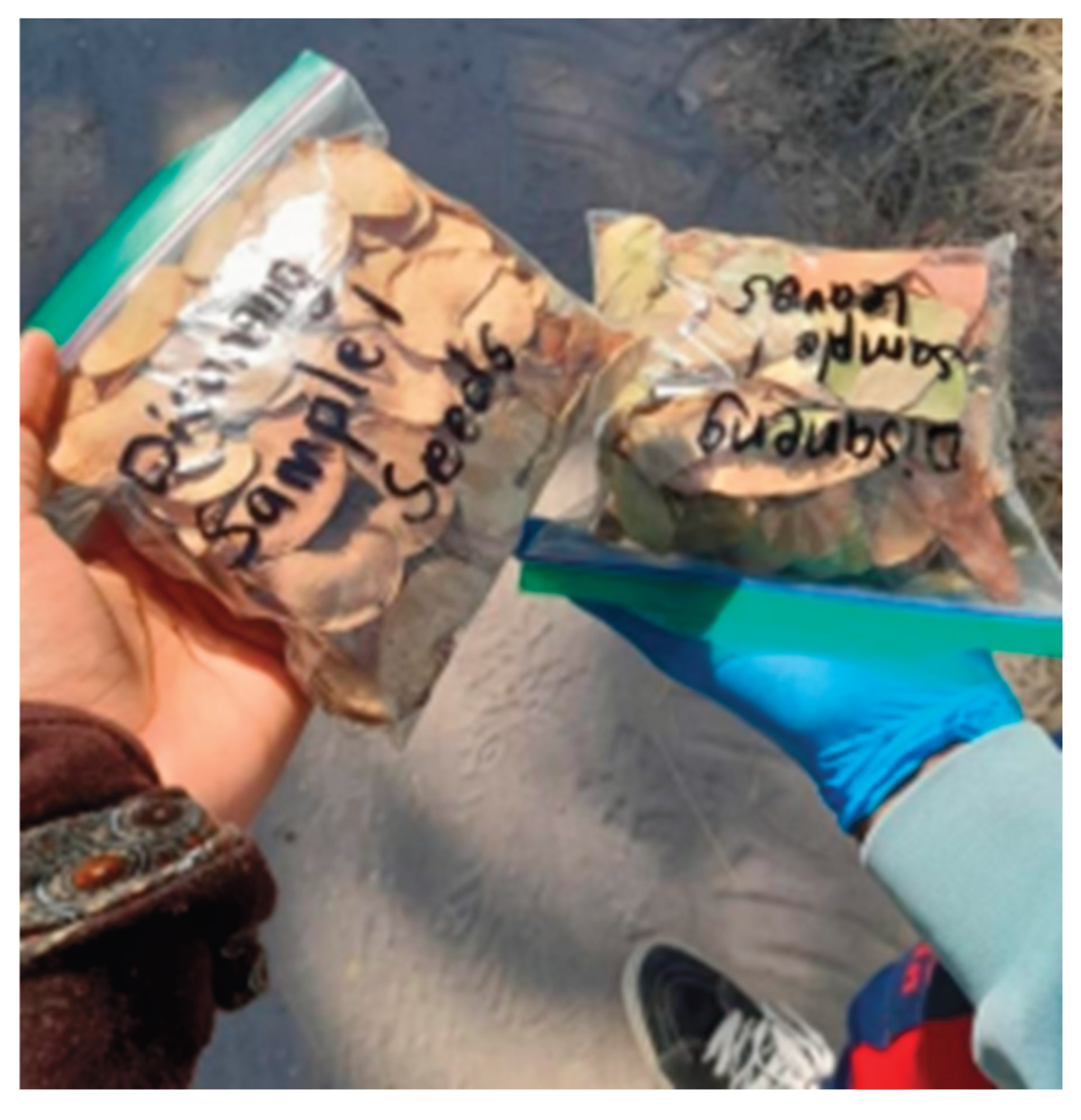 Preprints 181704 g002b