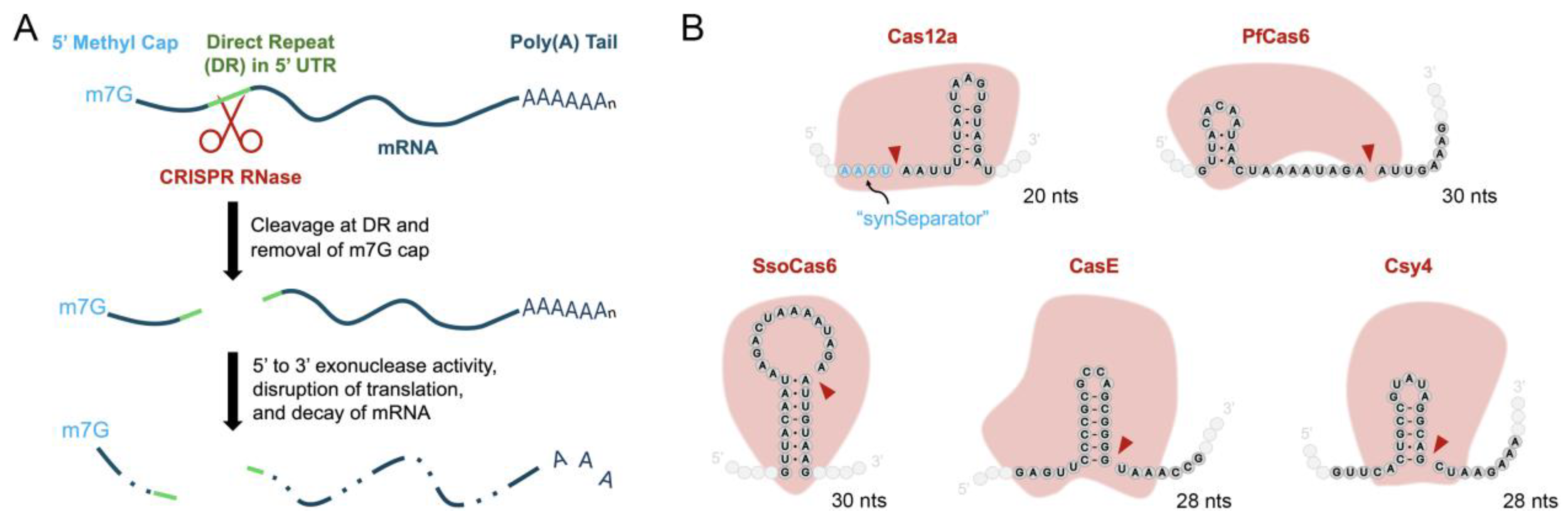 Preprints 157183 g001