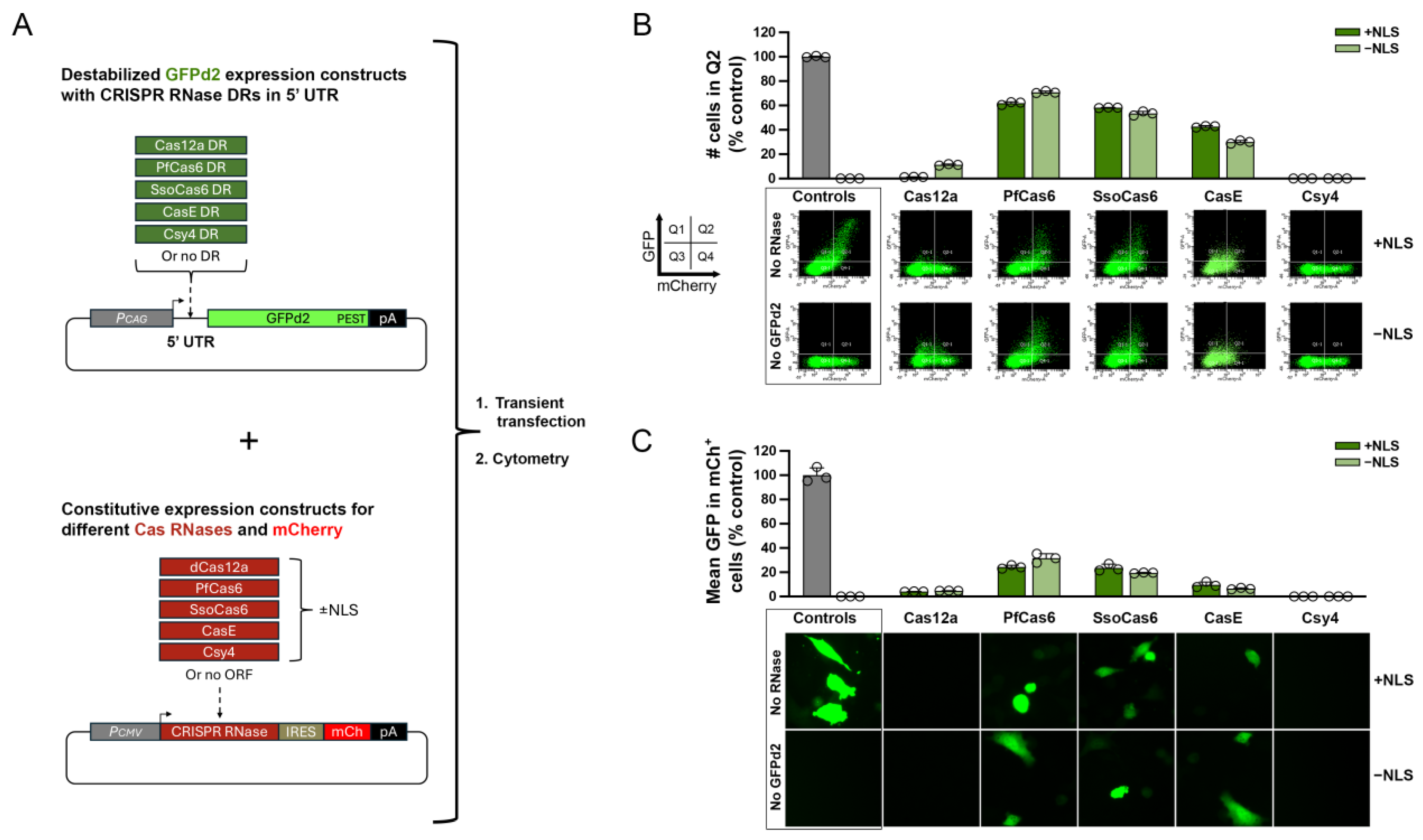 Preprints 157183 g002