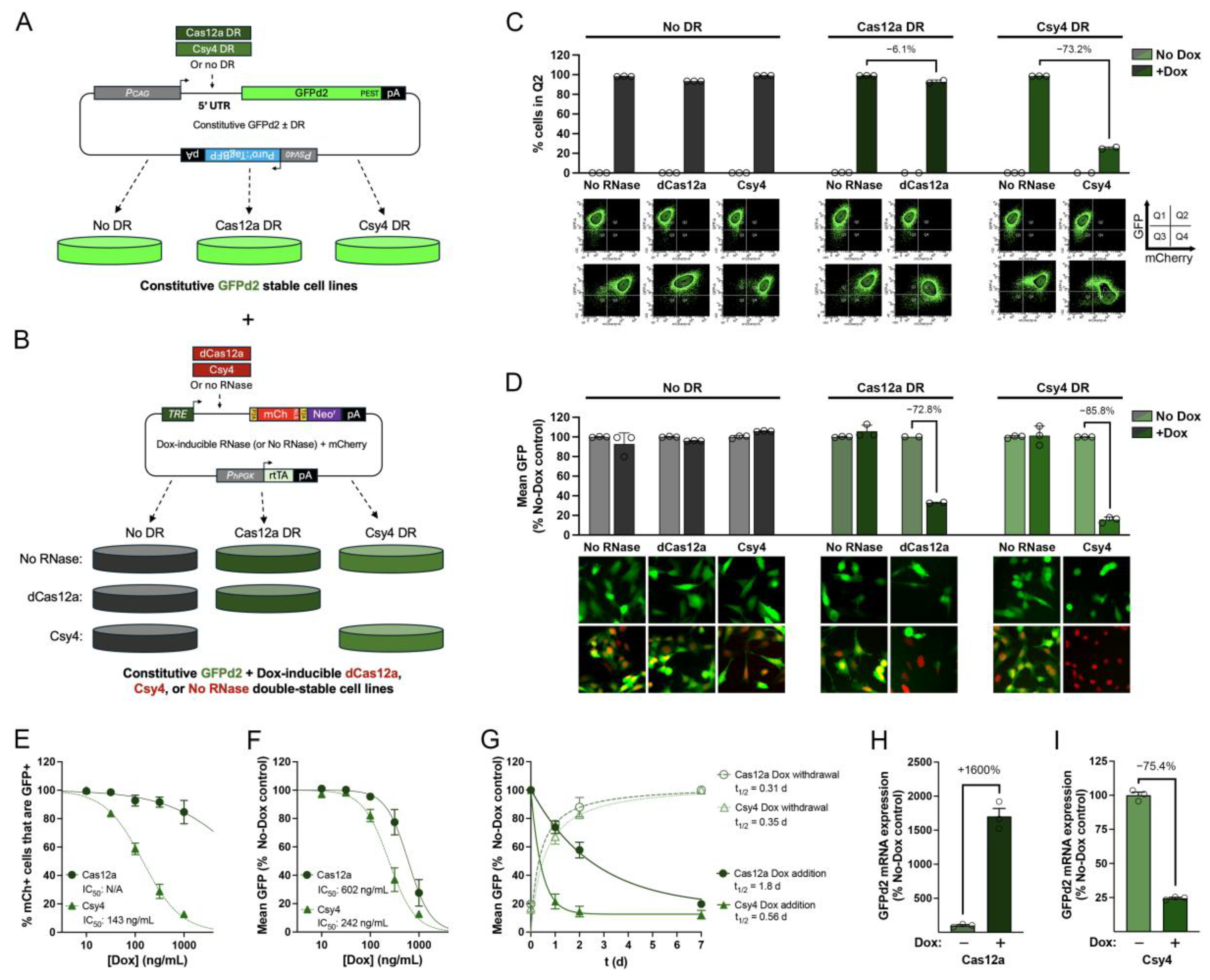 Preprints 157183 g003