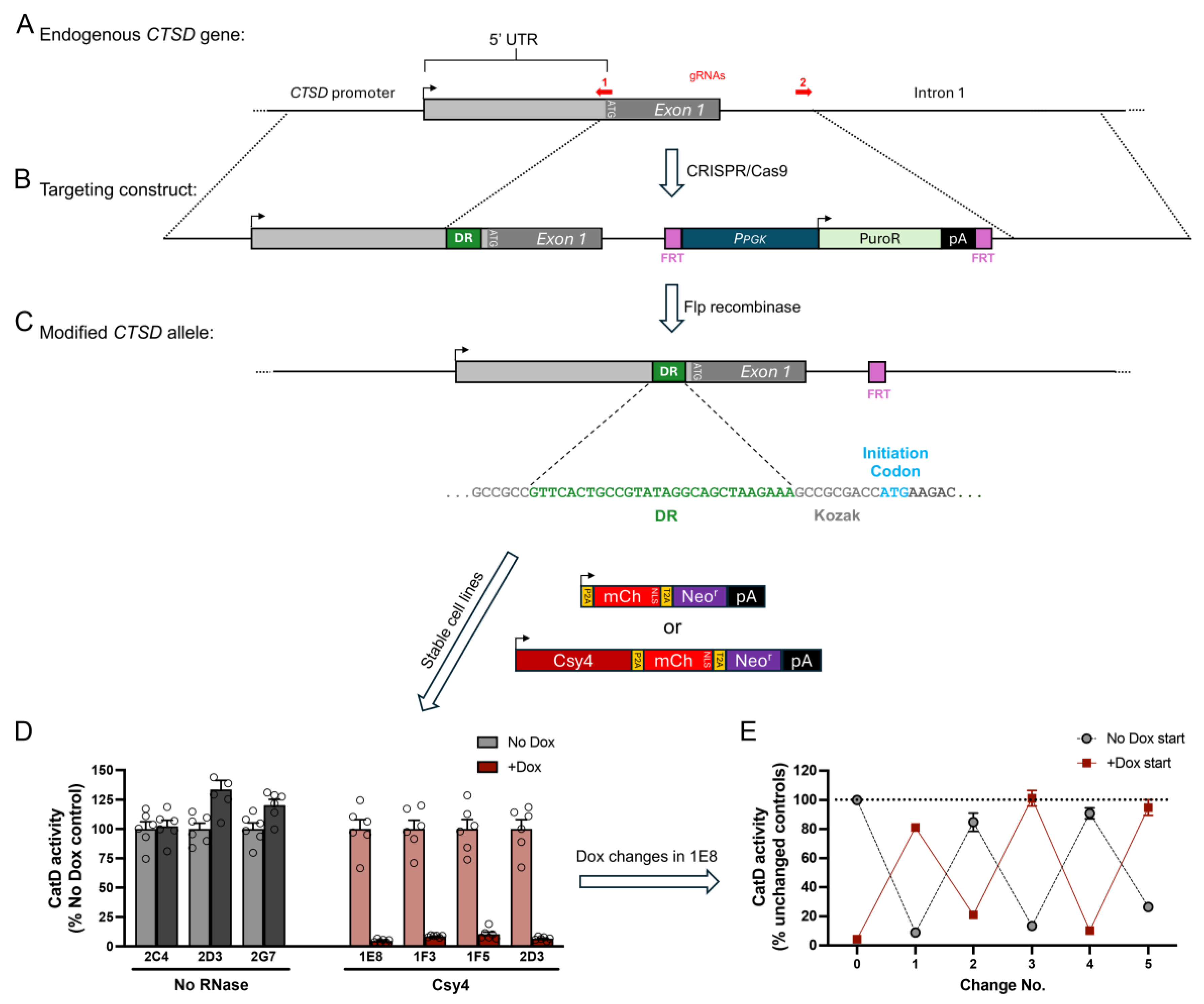 Preprints 157183 g004