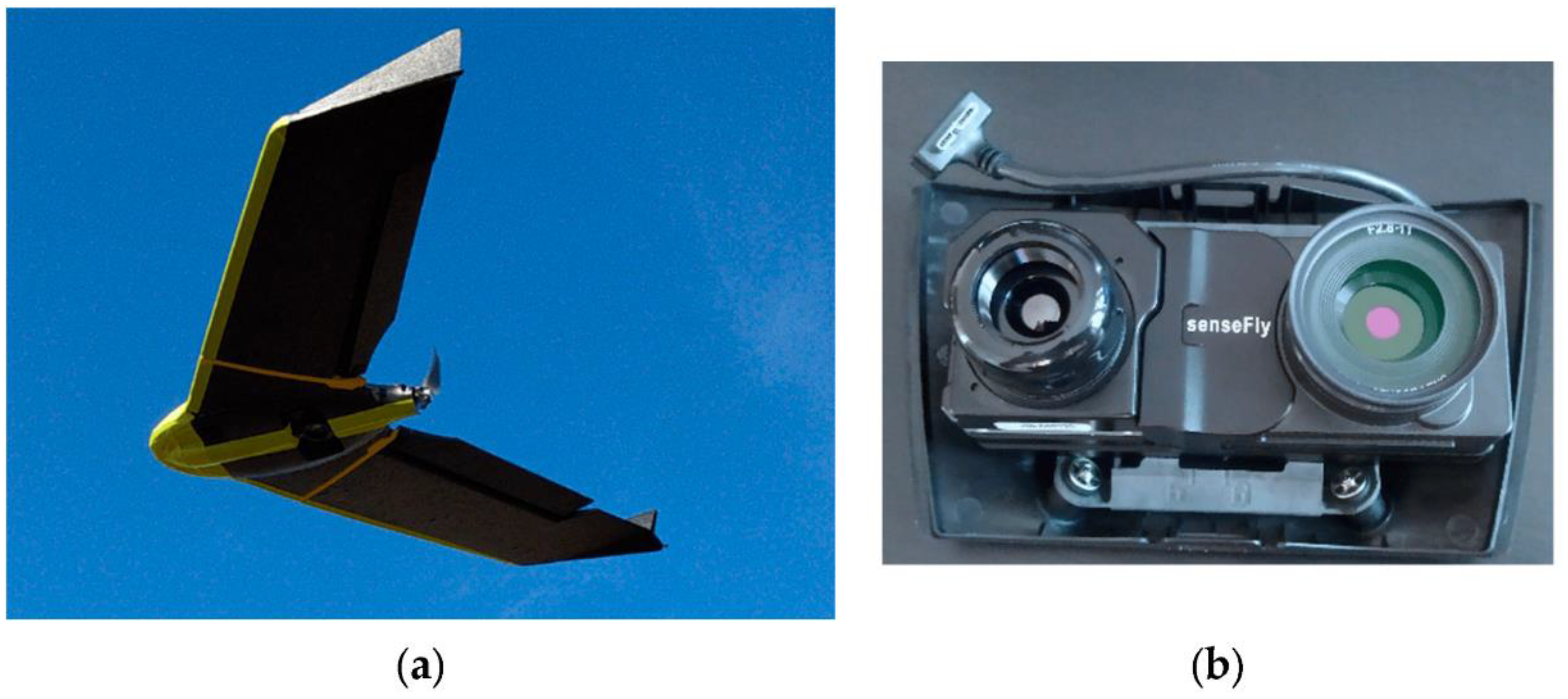 Preprints 119923 g001