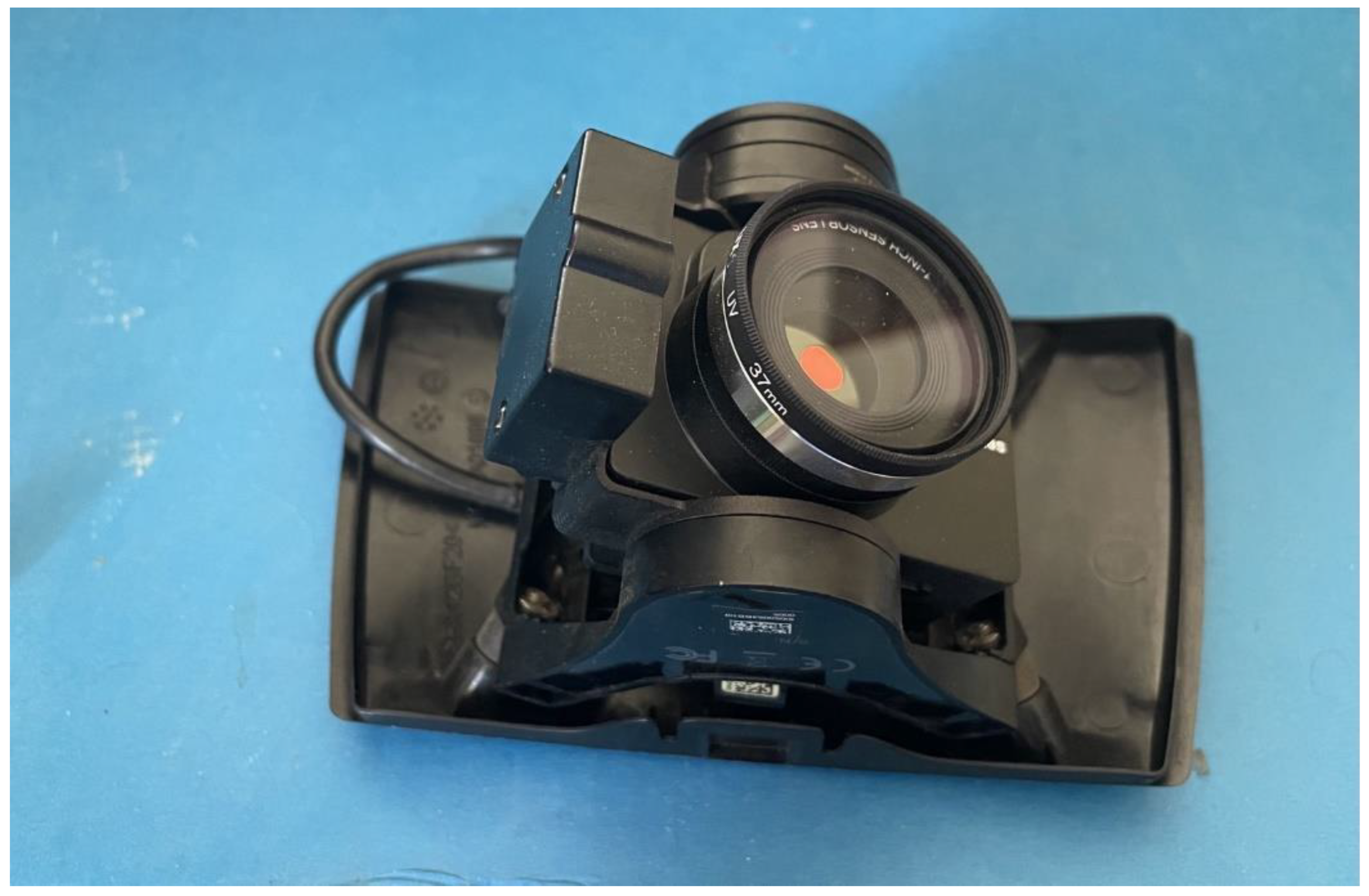 Preprints 119923 g002