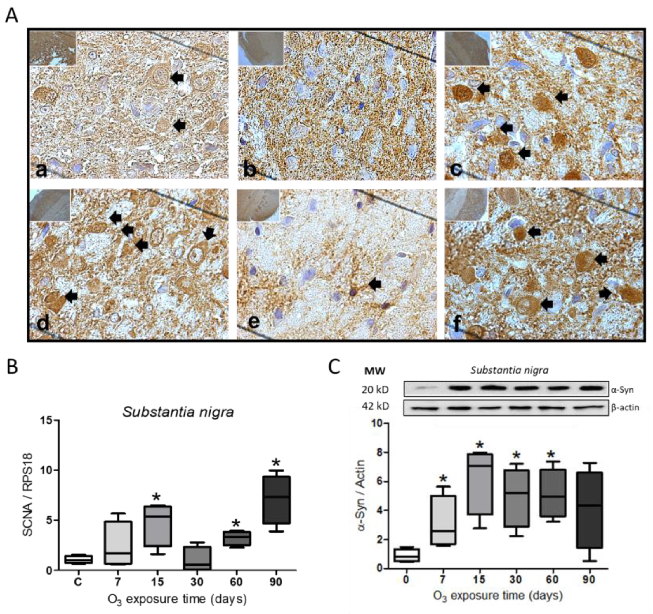 Preprints 102842 g001