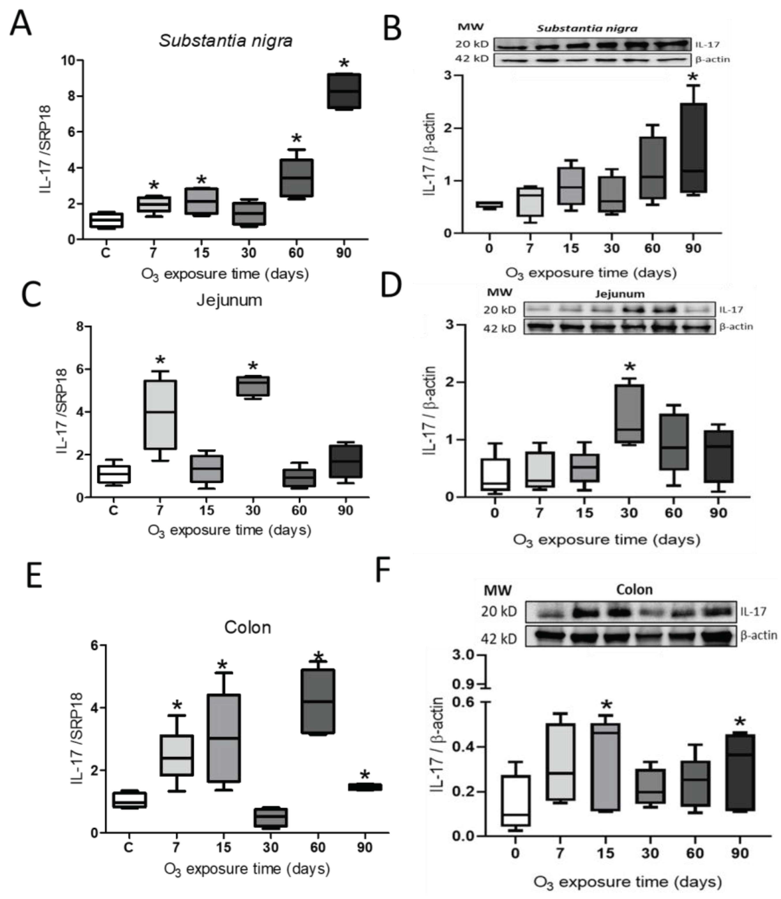 Preprints 102842 g005