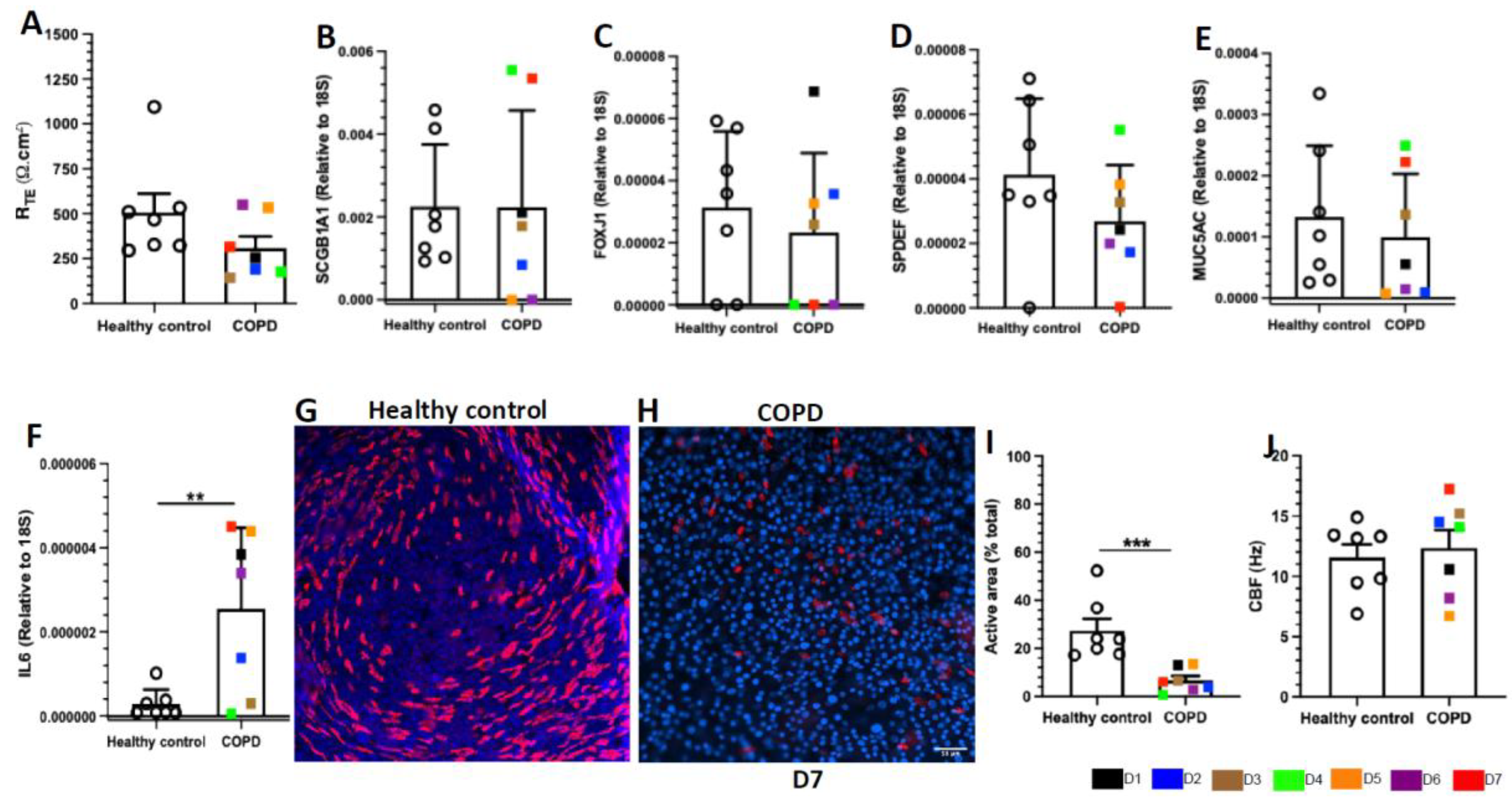 Preprints 219682 g001