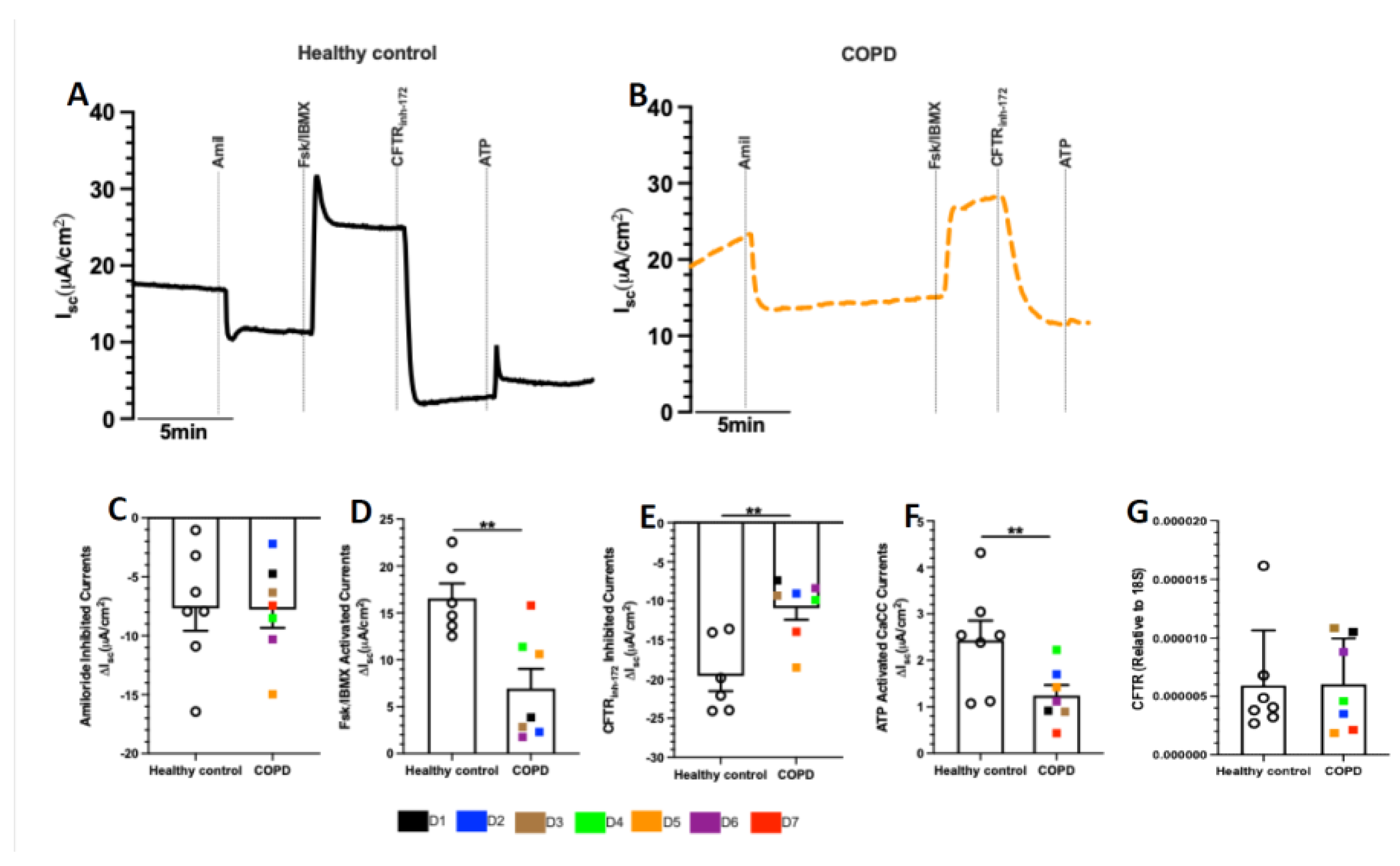 Preprints 219682 g002