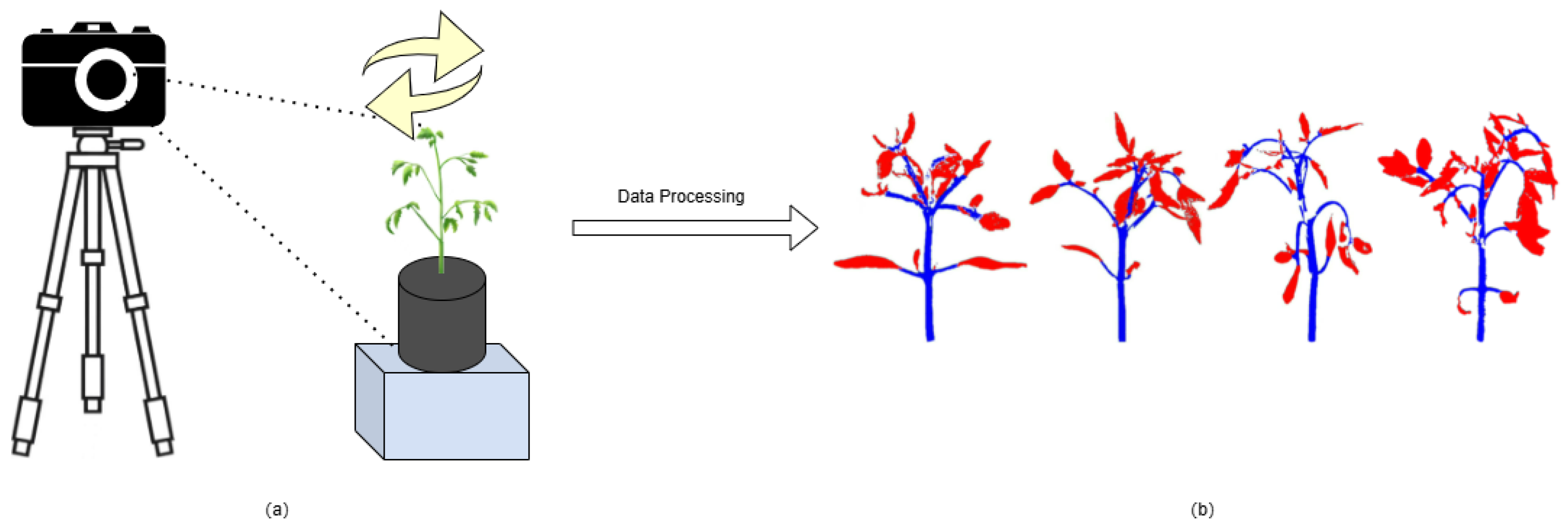 Preprints 142715 g001