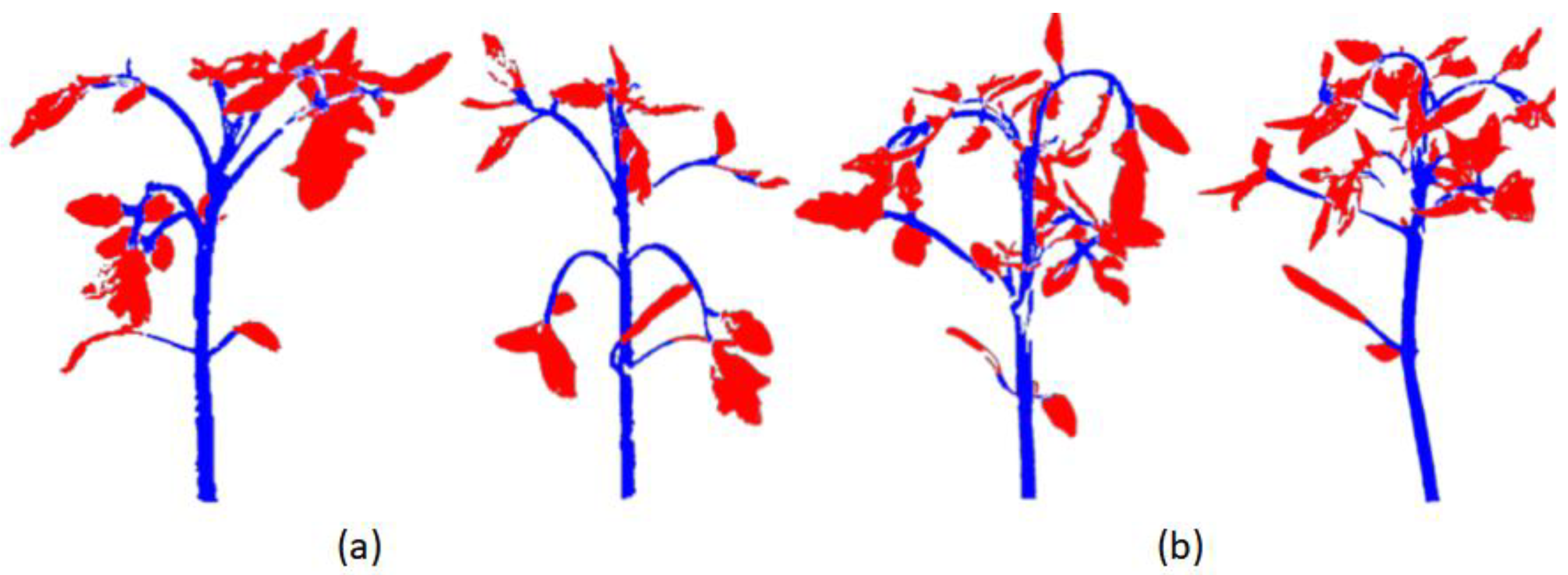 Preprints 142715 g006