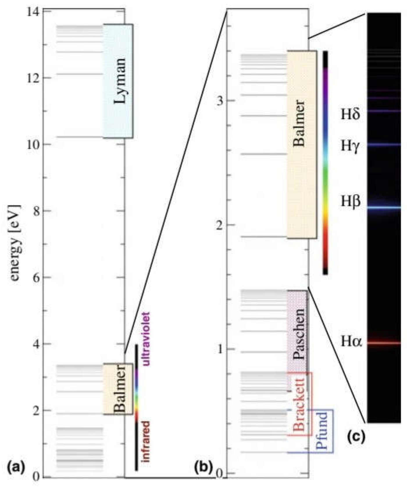 Preprints 144293 g002