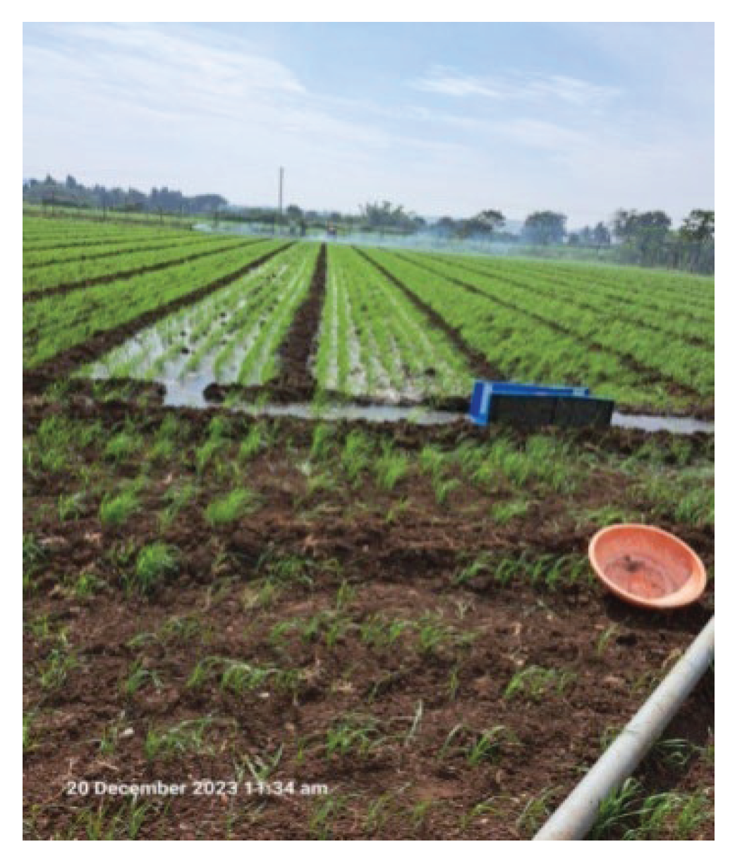 Preprints 201935 g003