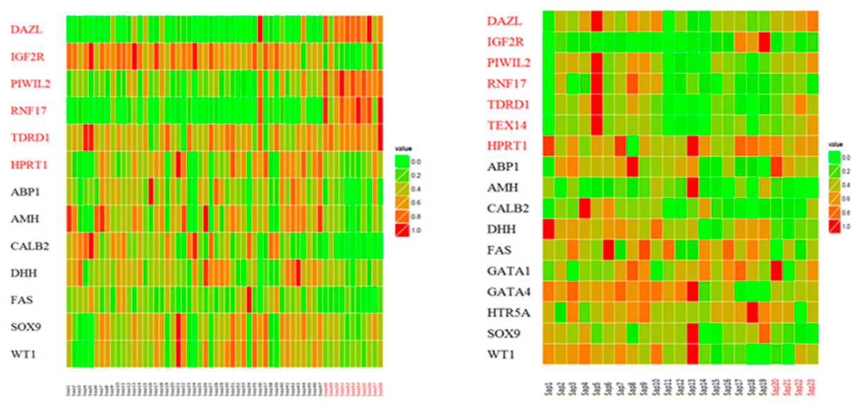 Preprints 237497 g001