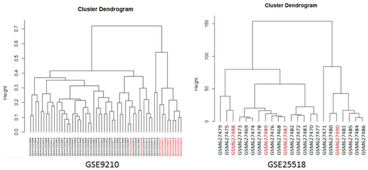 Preprints 237497 g005
