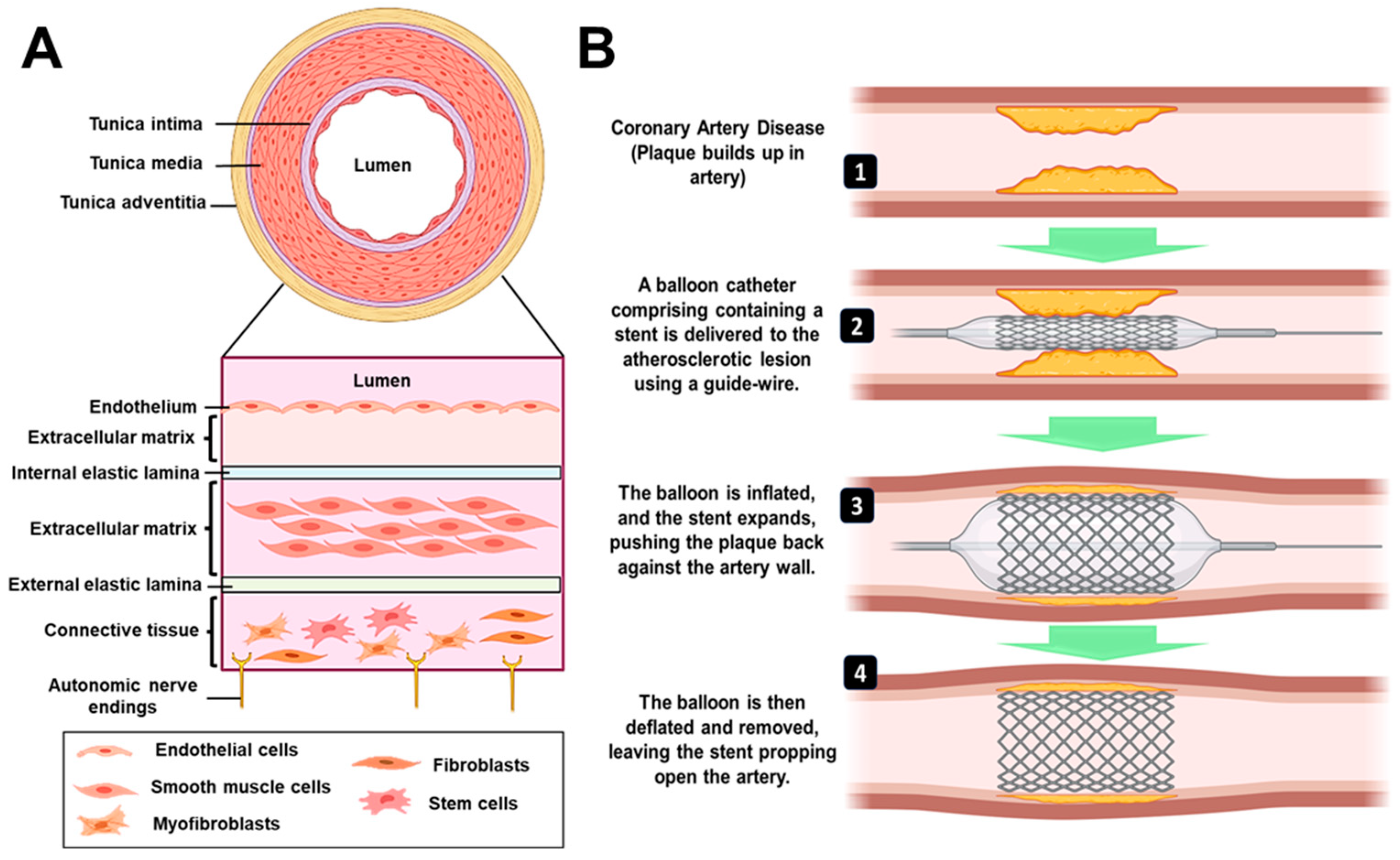 Preprints 86210 g001