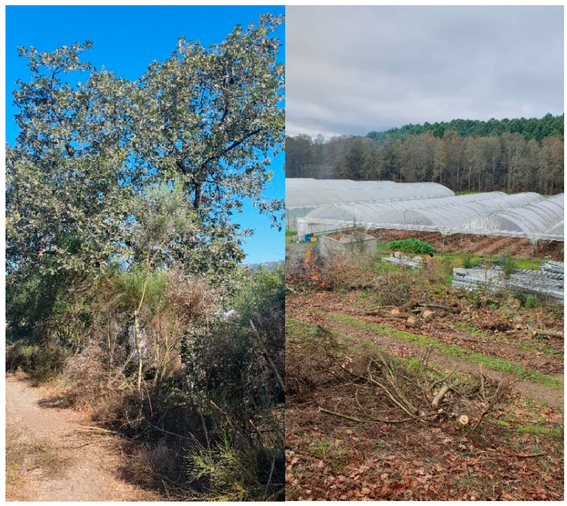 Preprints 178600 g001