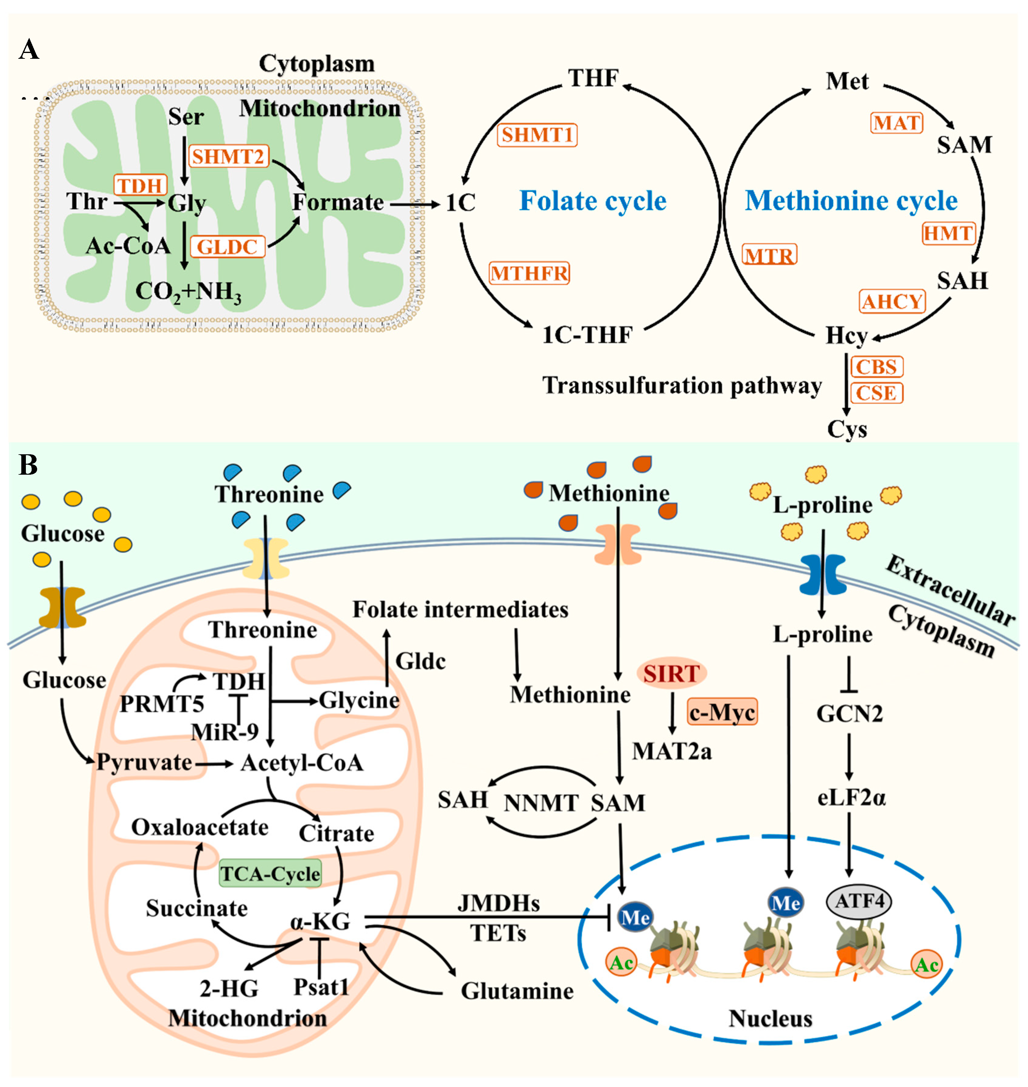 Preprints 106448 g002