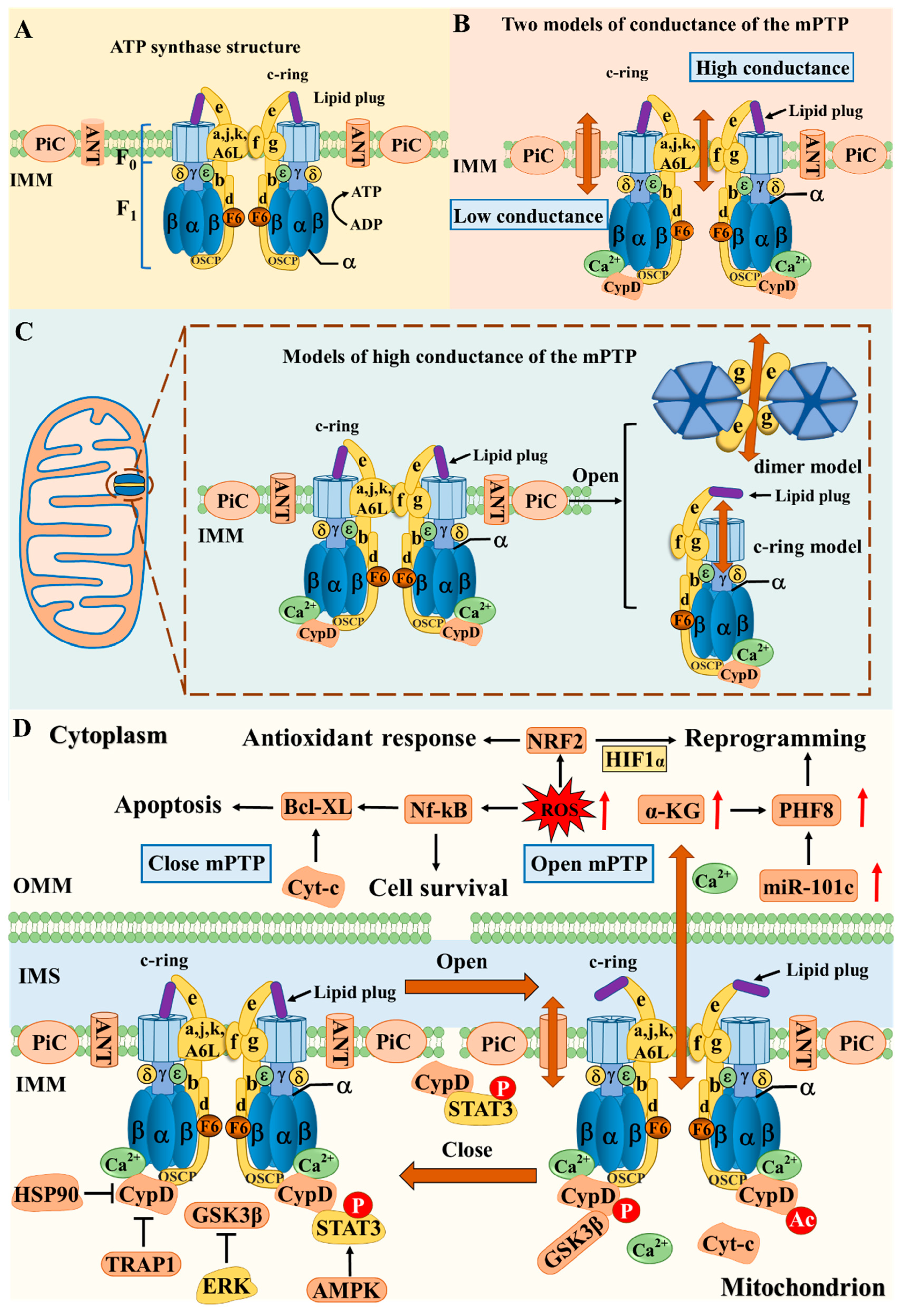 Preprints 106448 g003