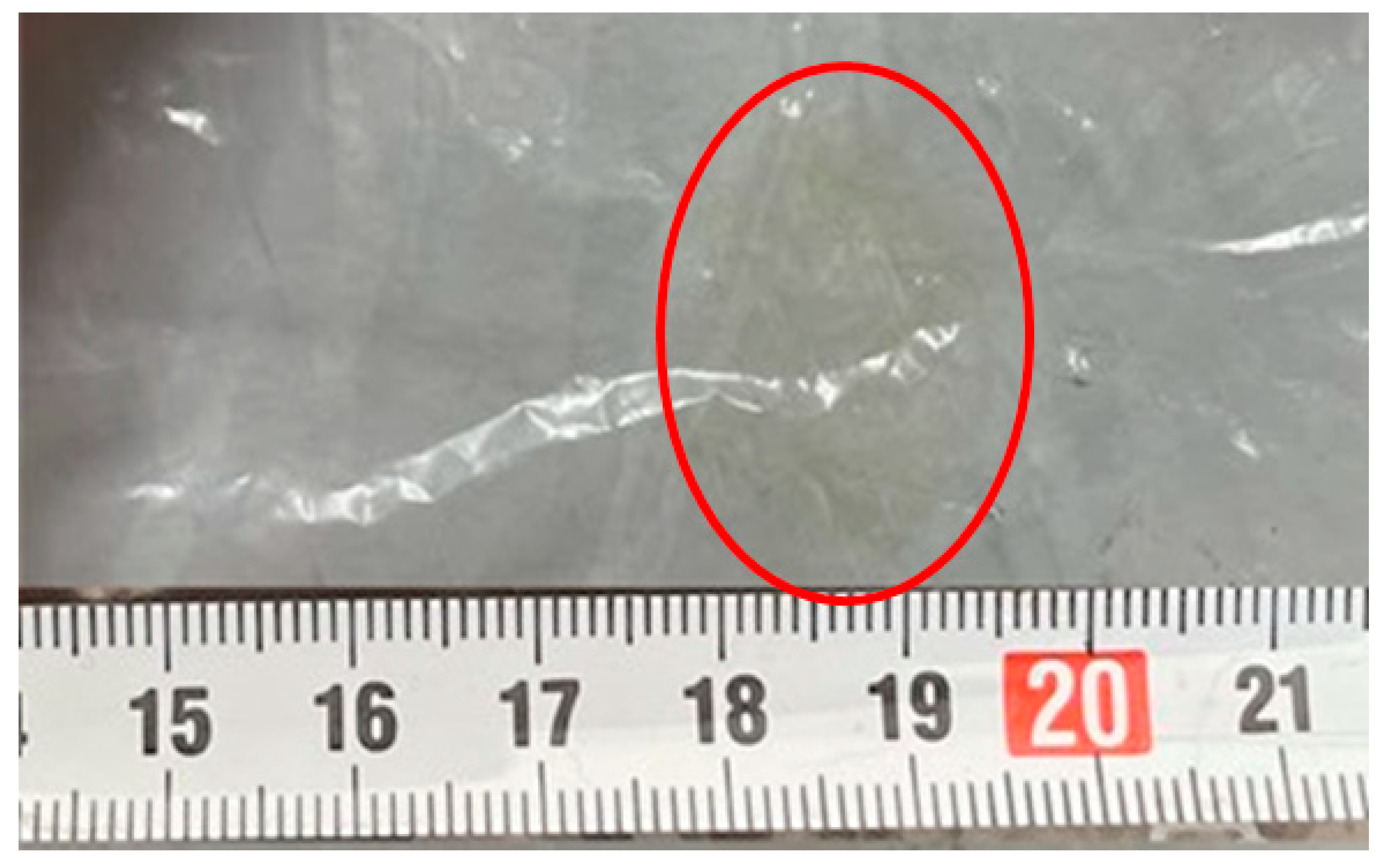 Preprints 144943 g006