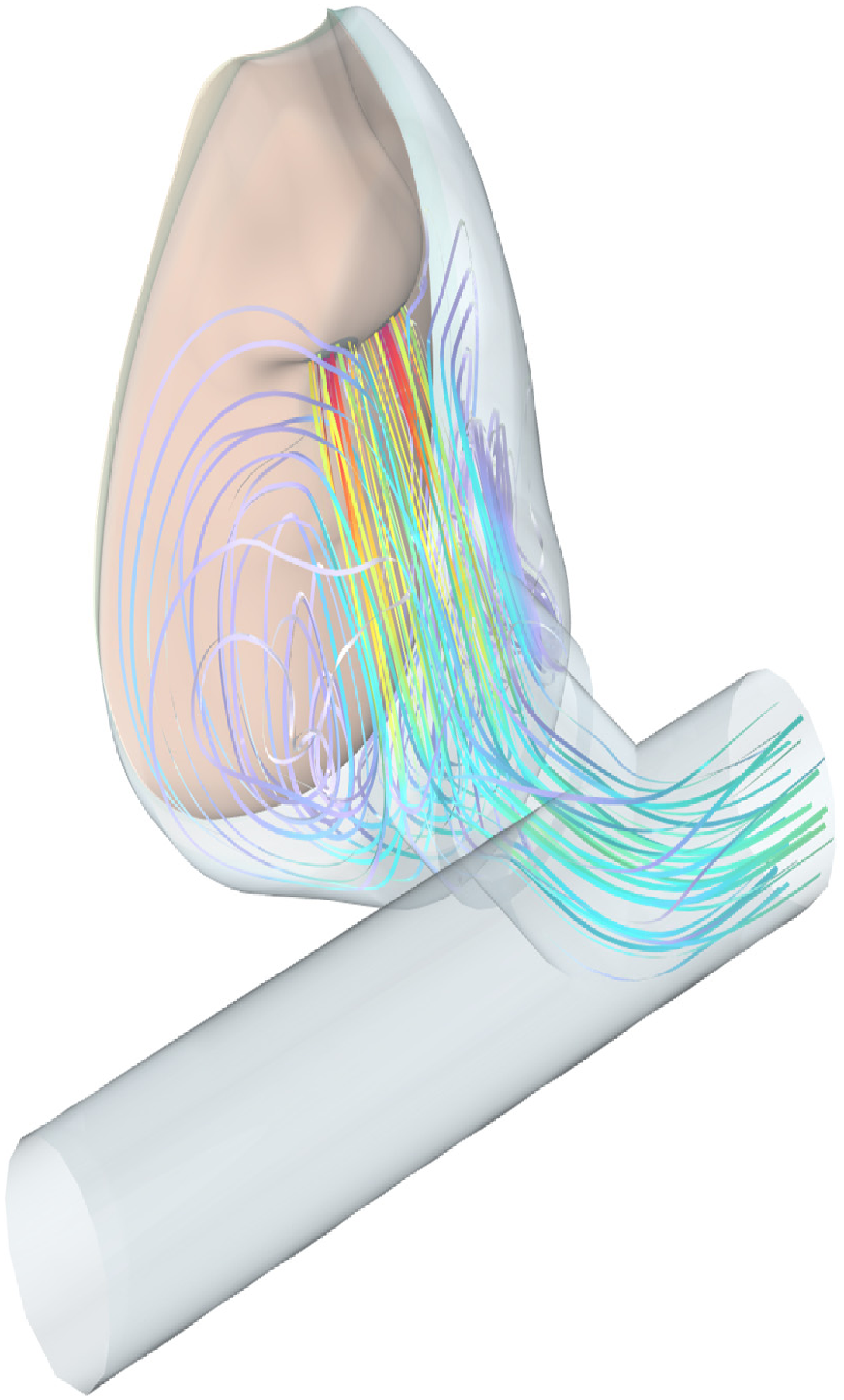 Preprints 200213 g001