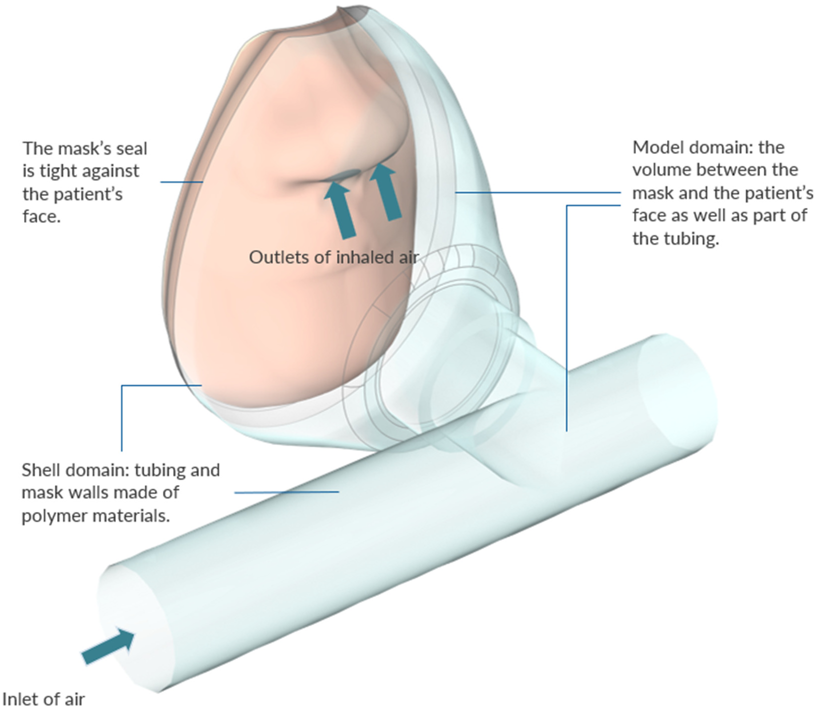 Preprints 200213 g003