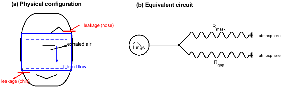 Preprints 200213 g006