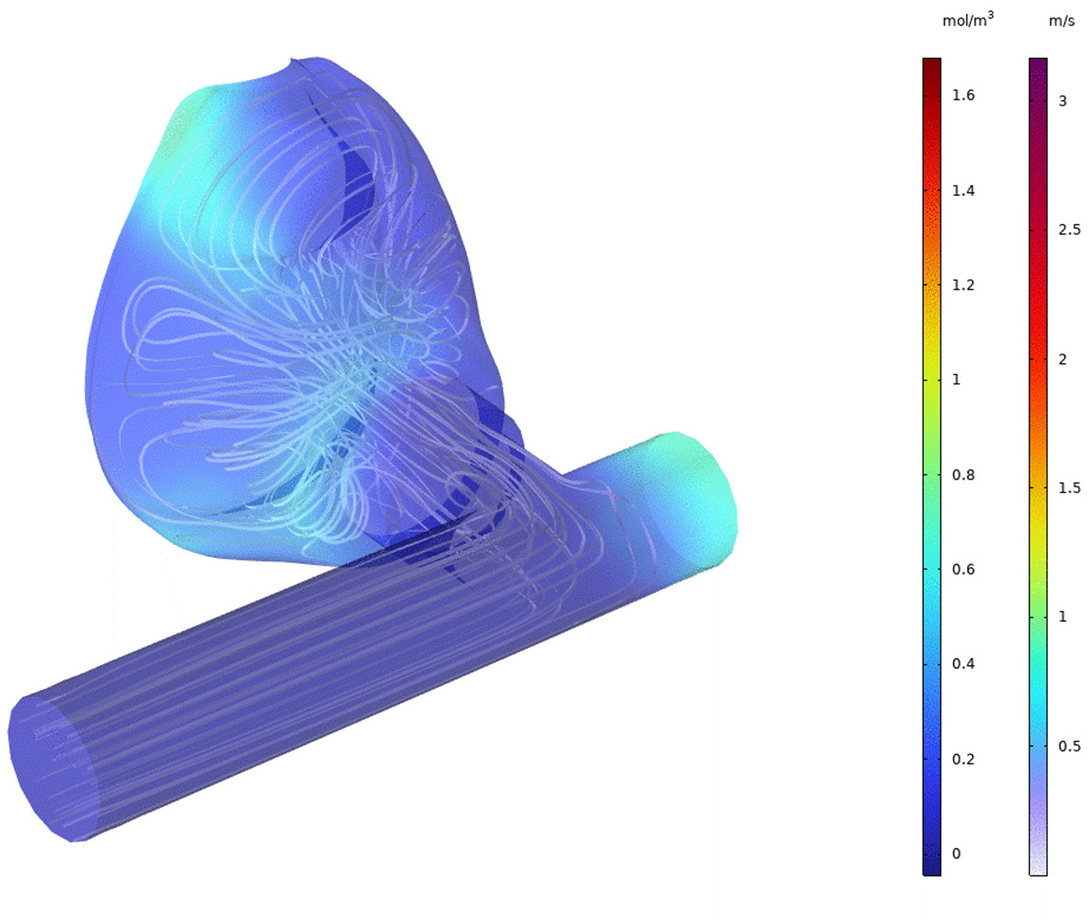 Preprints 200213 g019