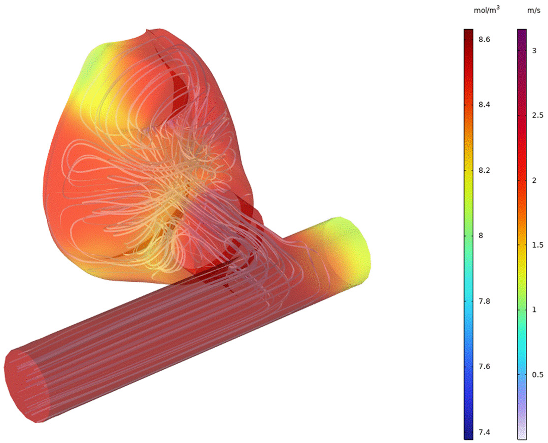 Preprints 200213 g020