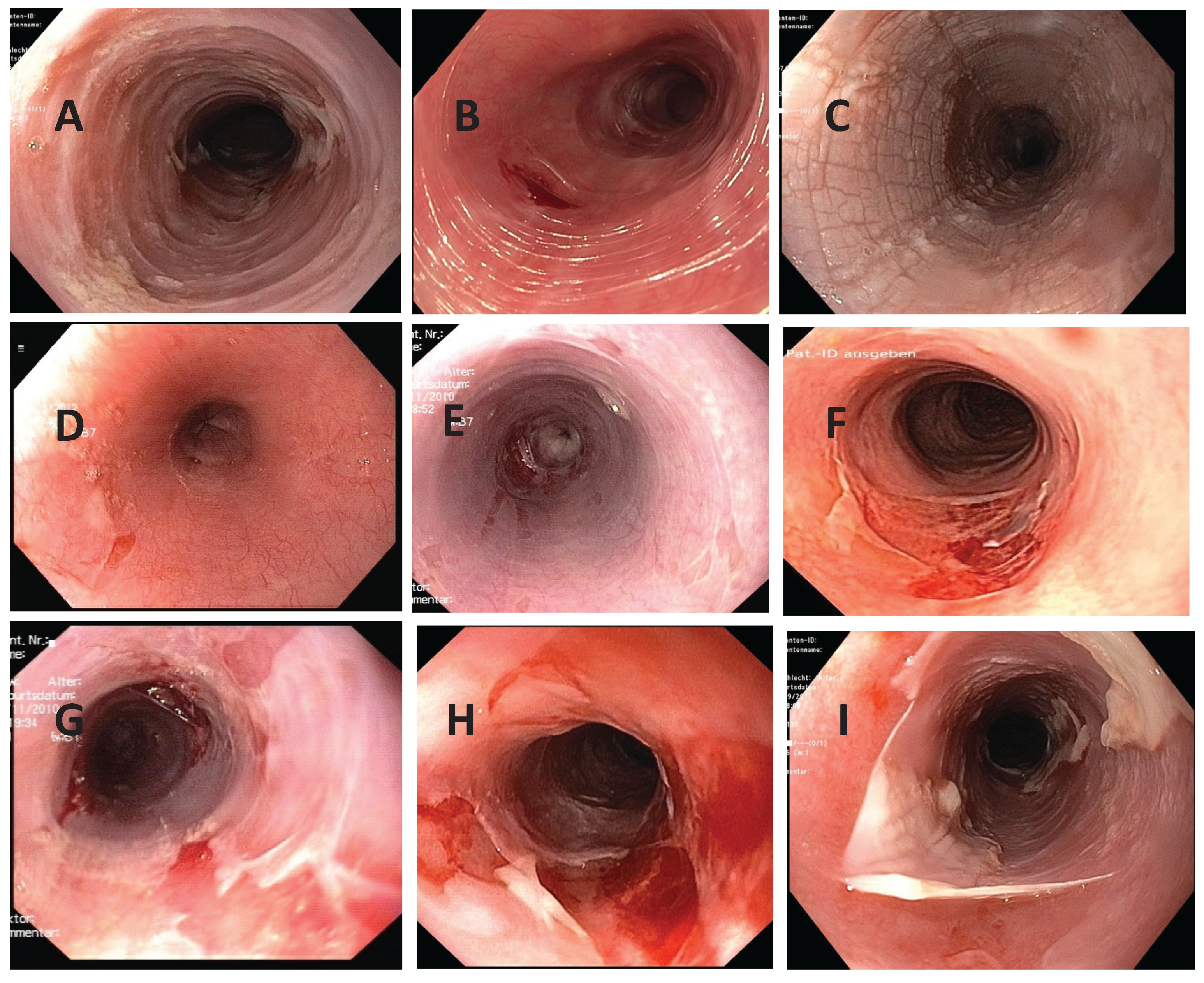 Preprints 179768 g001