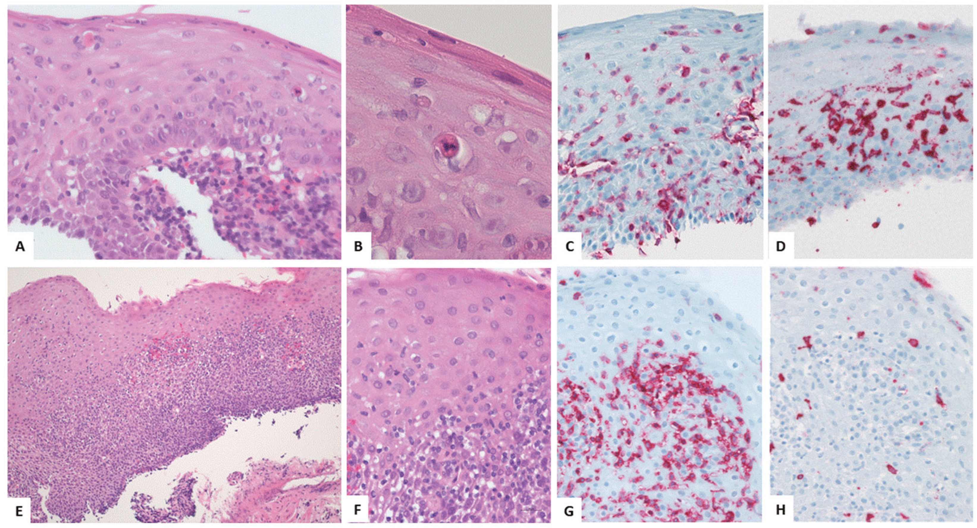 Preprints 179768 g002