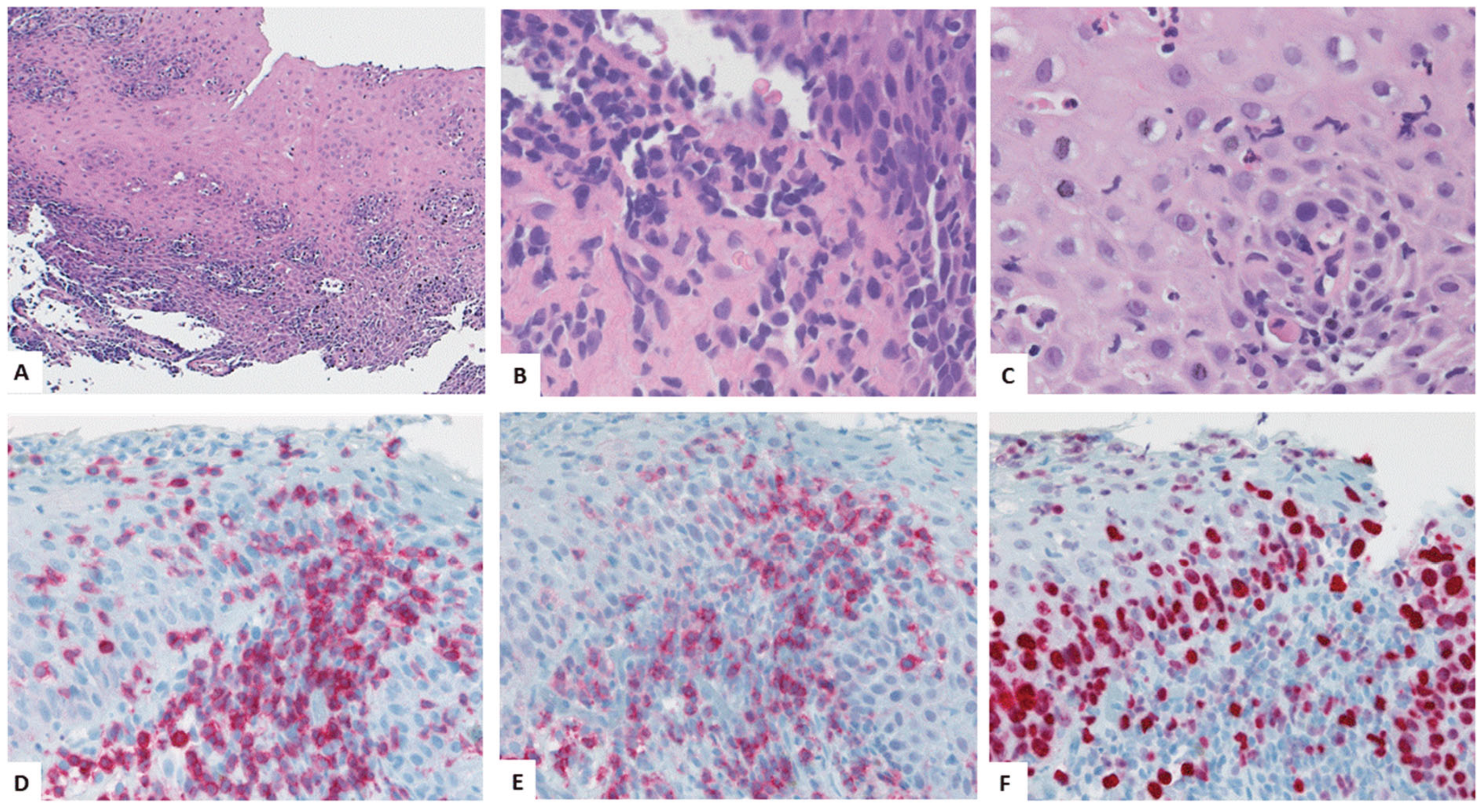Preprints 179768 g003