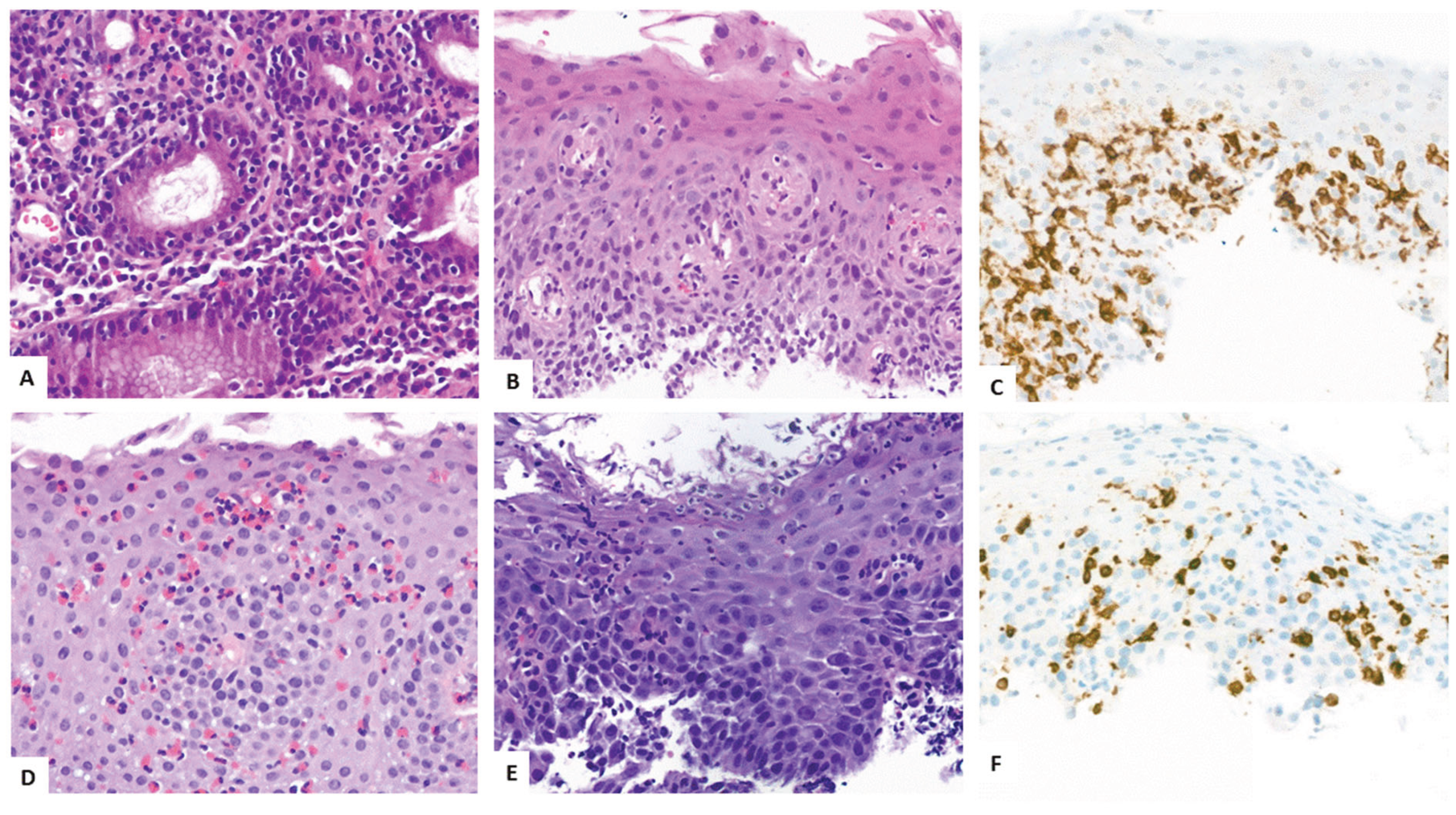 Preprints 179768 g004