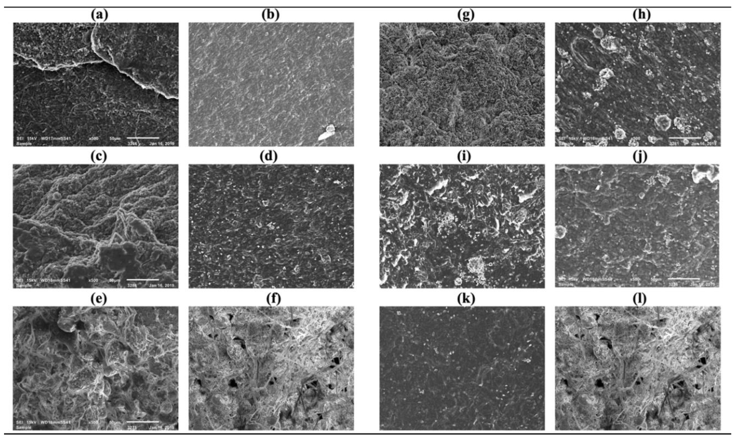 Preprints 216731 g007