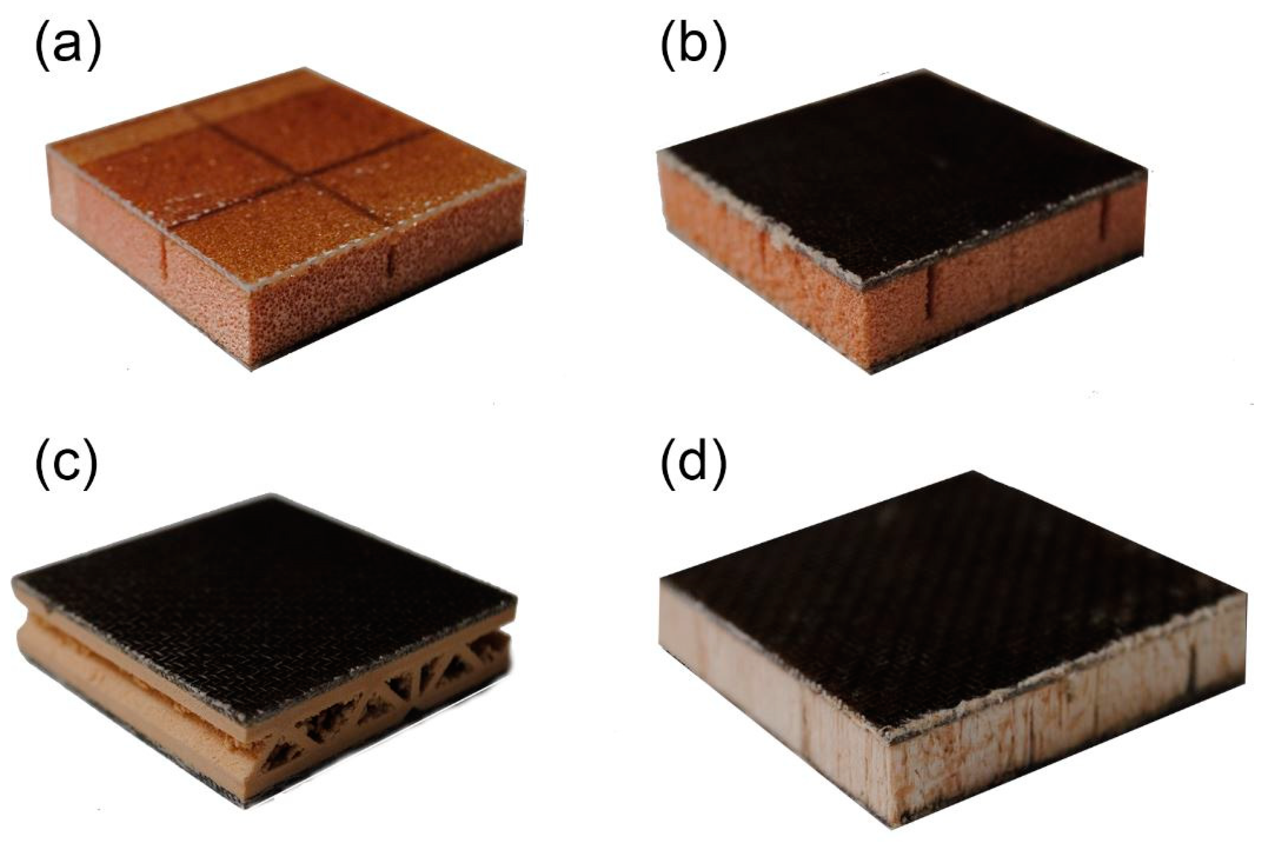 Preprints 141832 g001