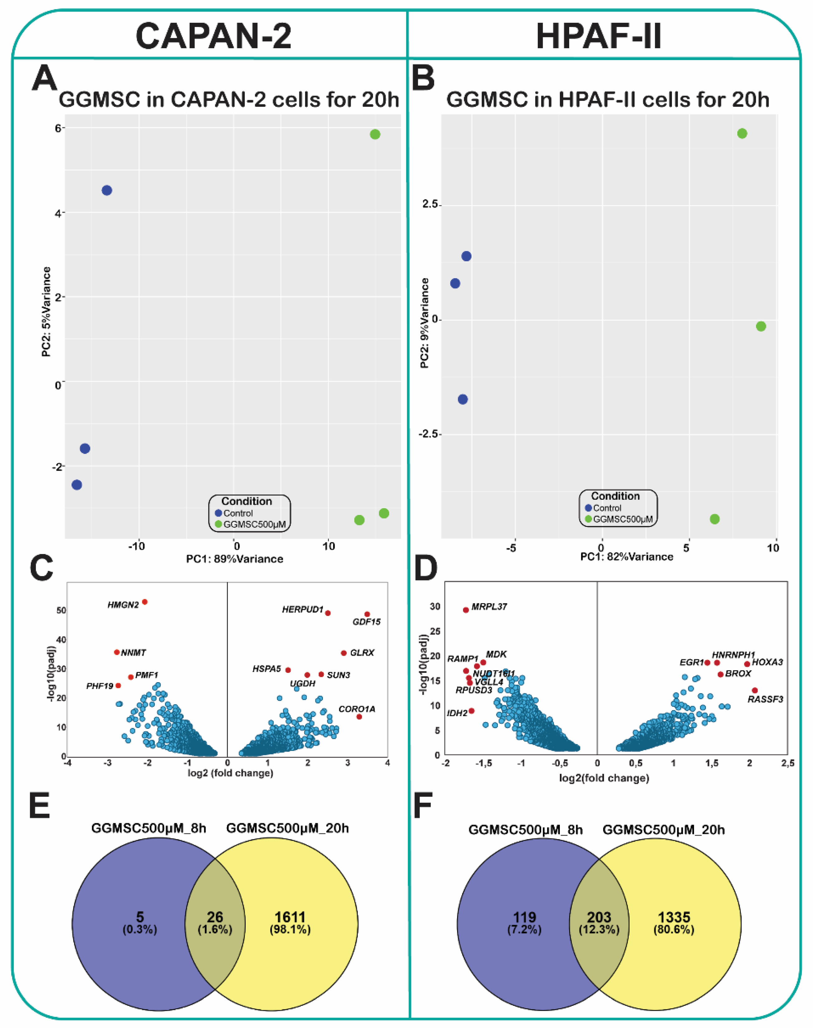 Preprints 175179 g001