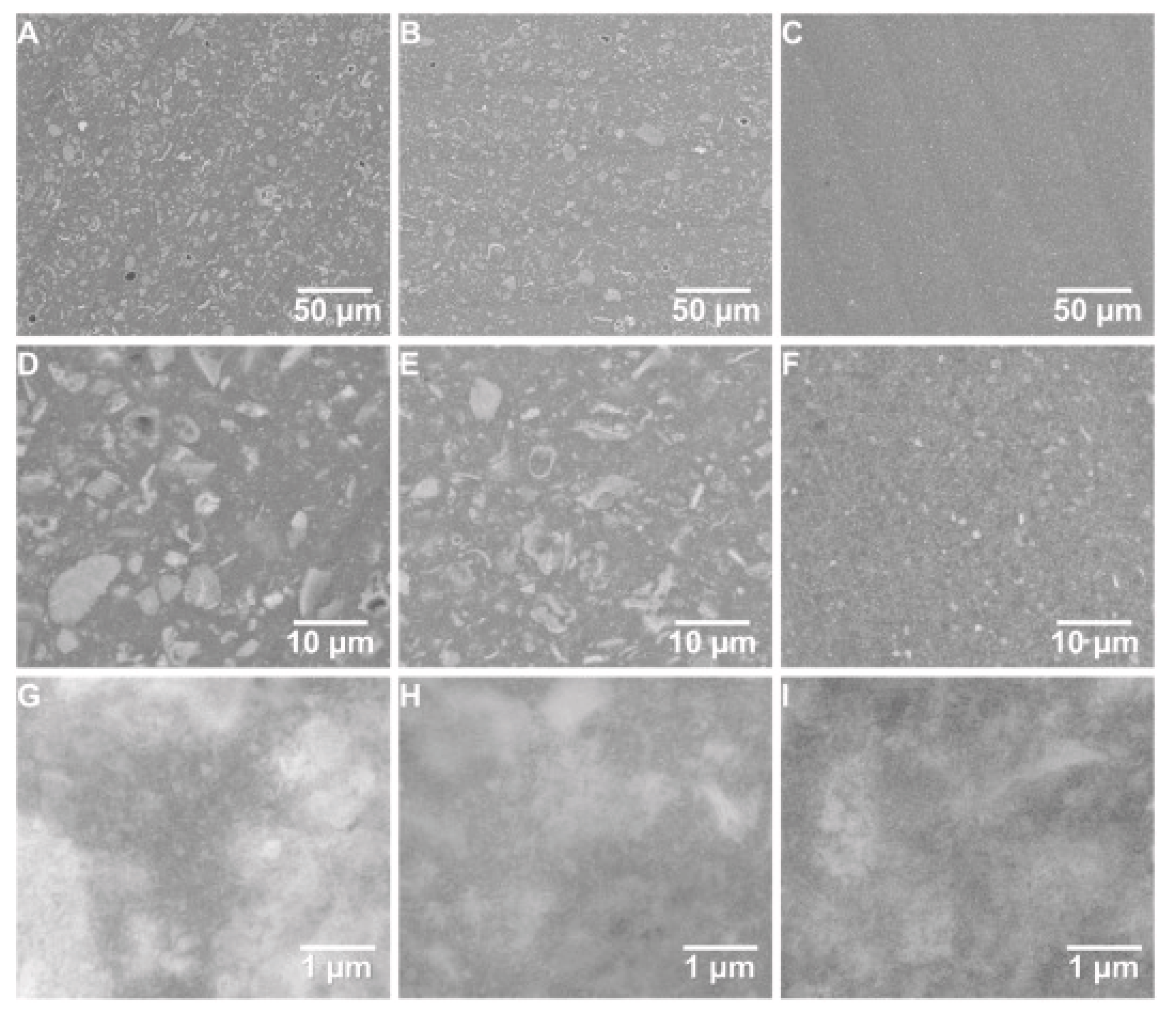 Preprints 186083 g001