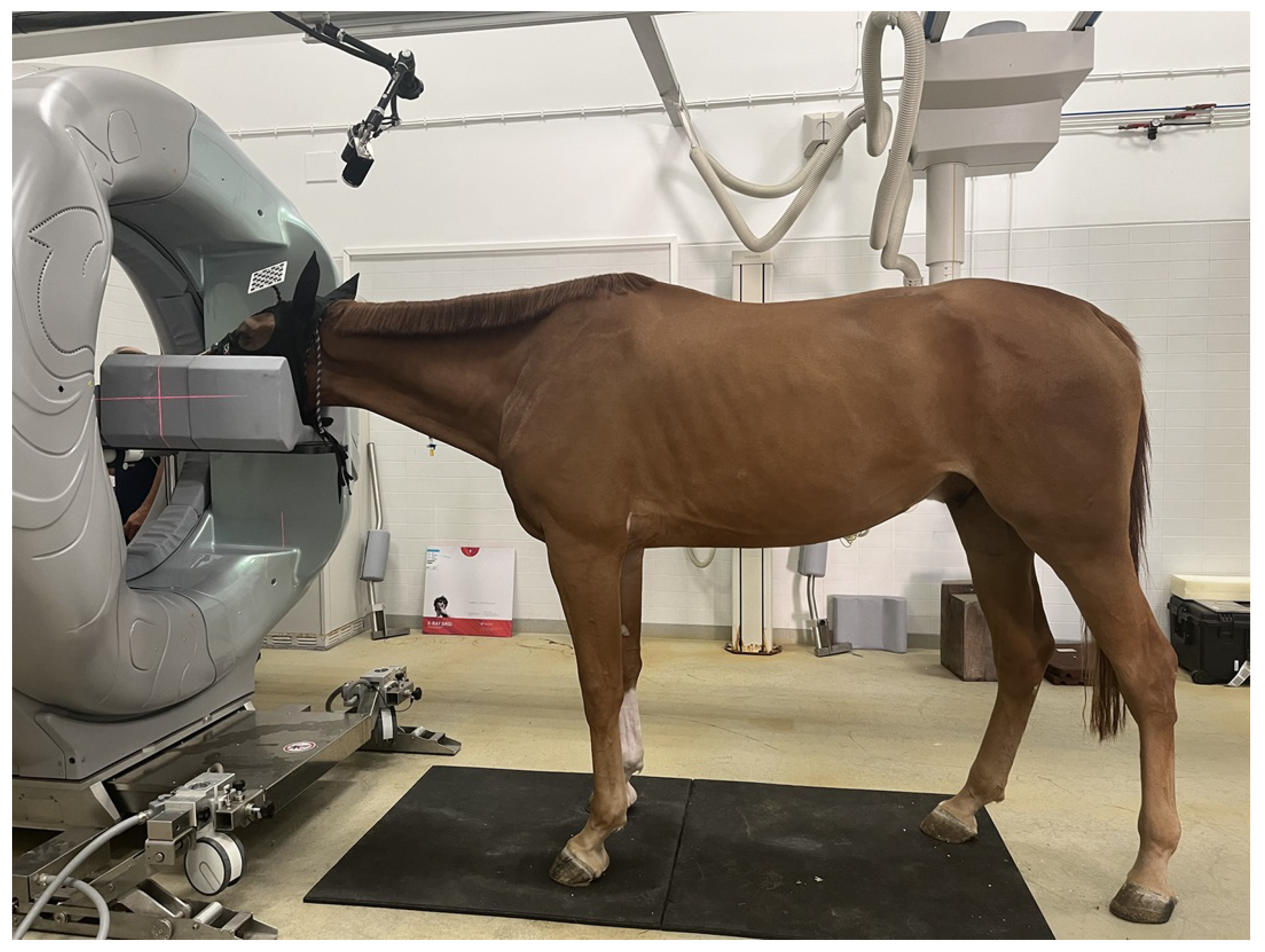 Preprints 194719 g001